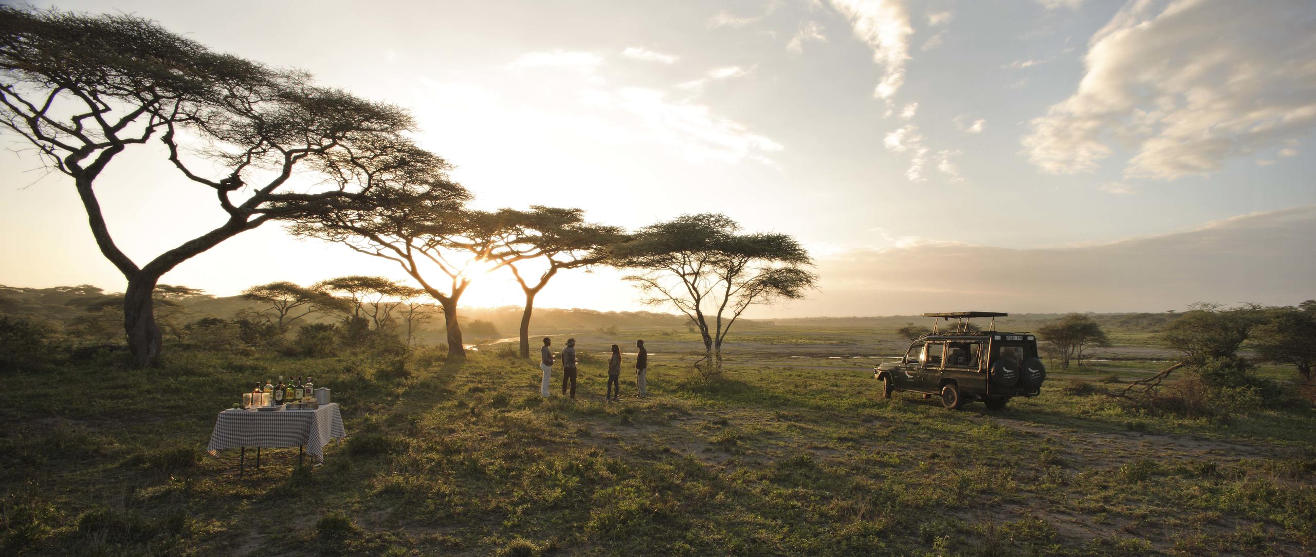 SERENGETI UNDER CANVAS