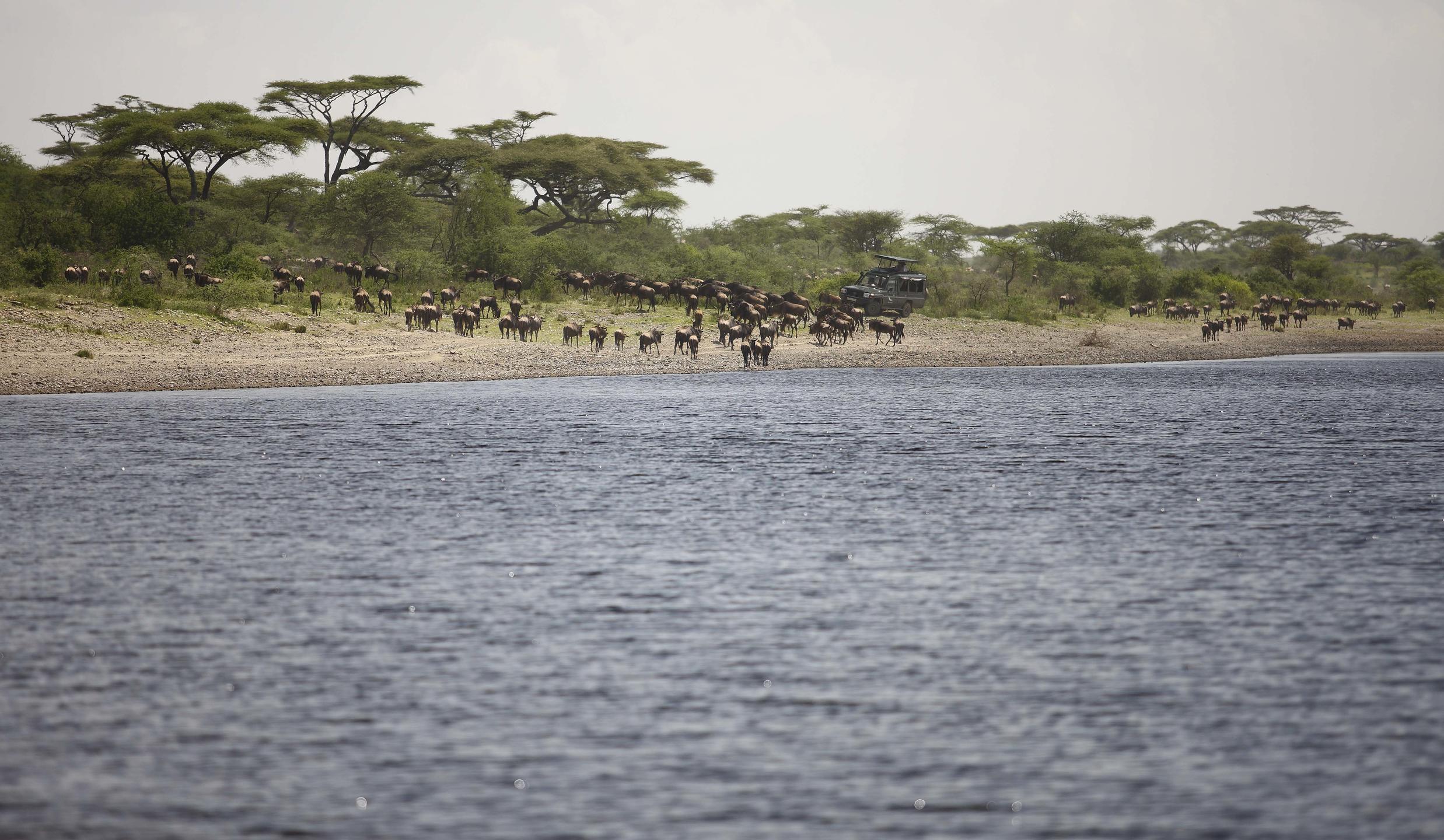 SERENGETI UNDER CANVAS