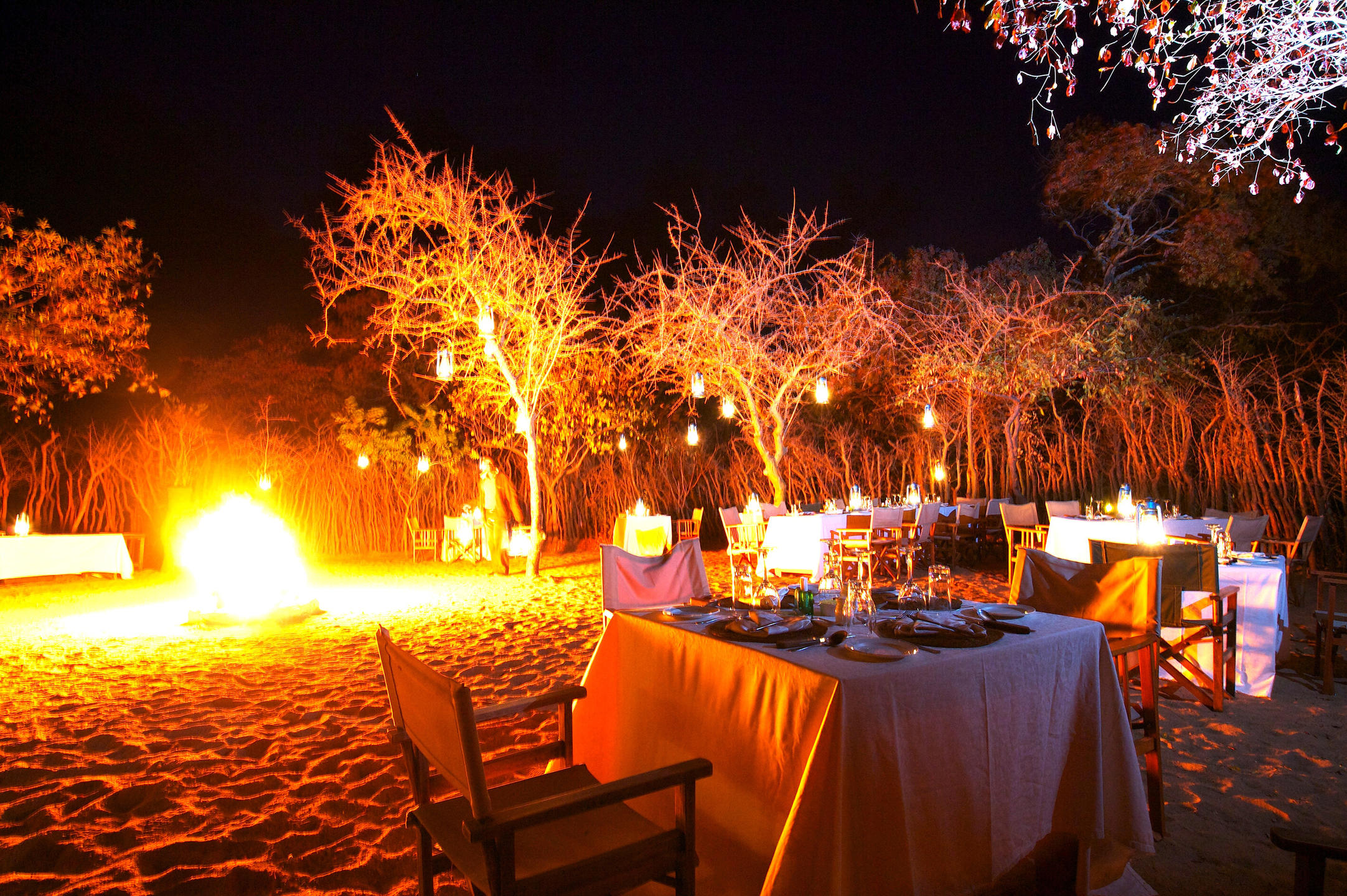 TARANGIRE TREETOPS