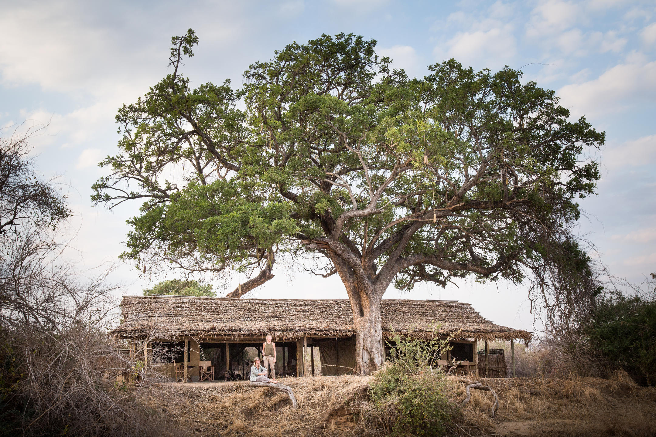 Kigelia Ruaha