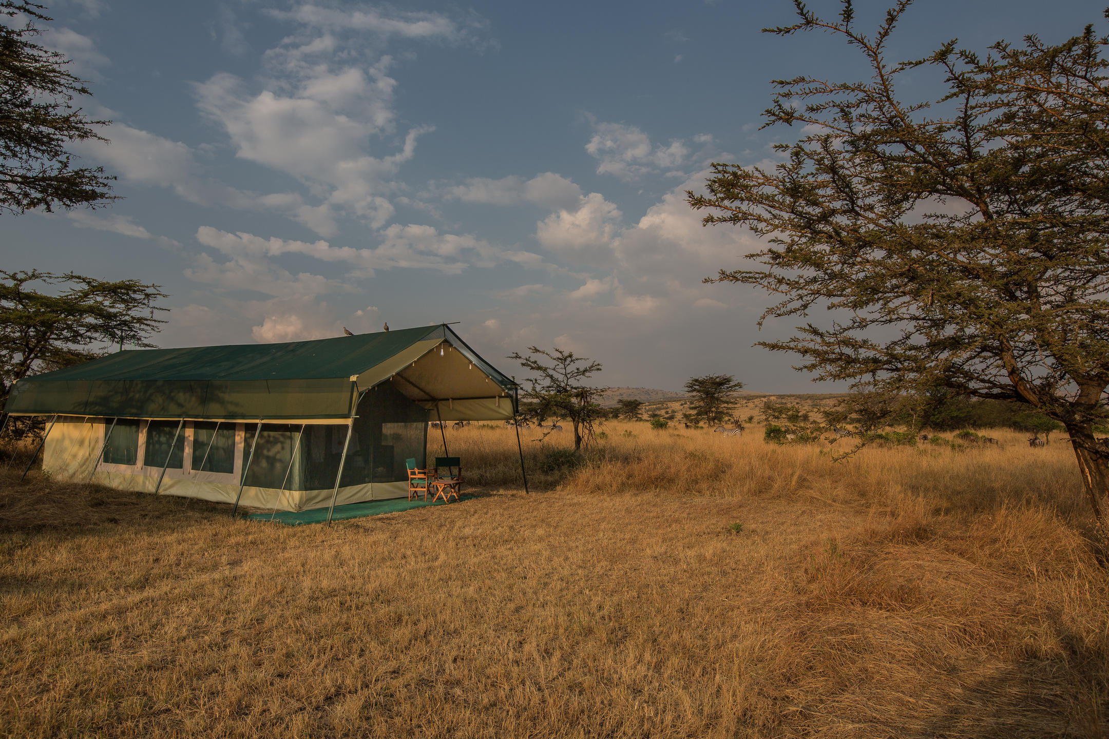 Nasikia Mobile Migration Camp