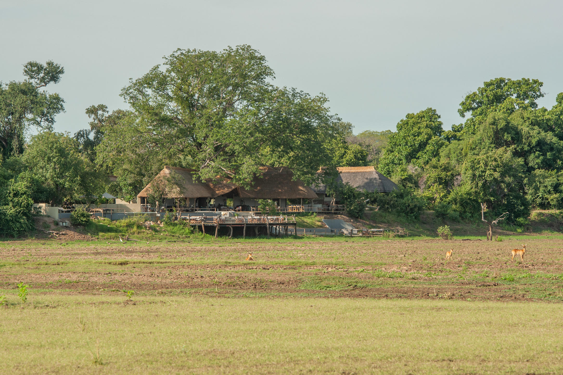 KAFUNTA RIVER LODGE