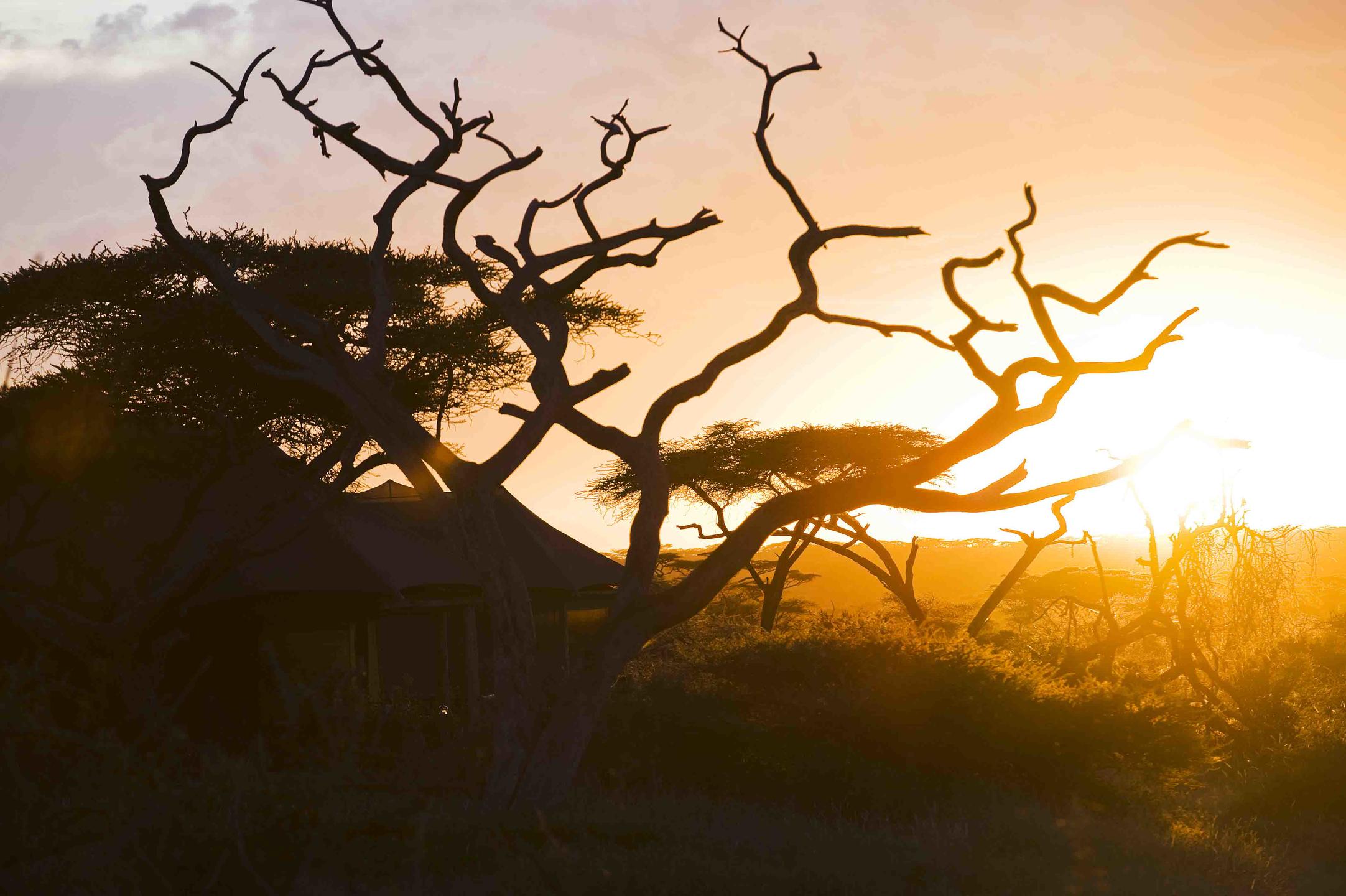 LAKE MASEK TENTED LODGE