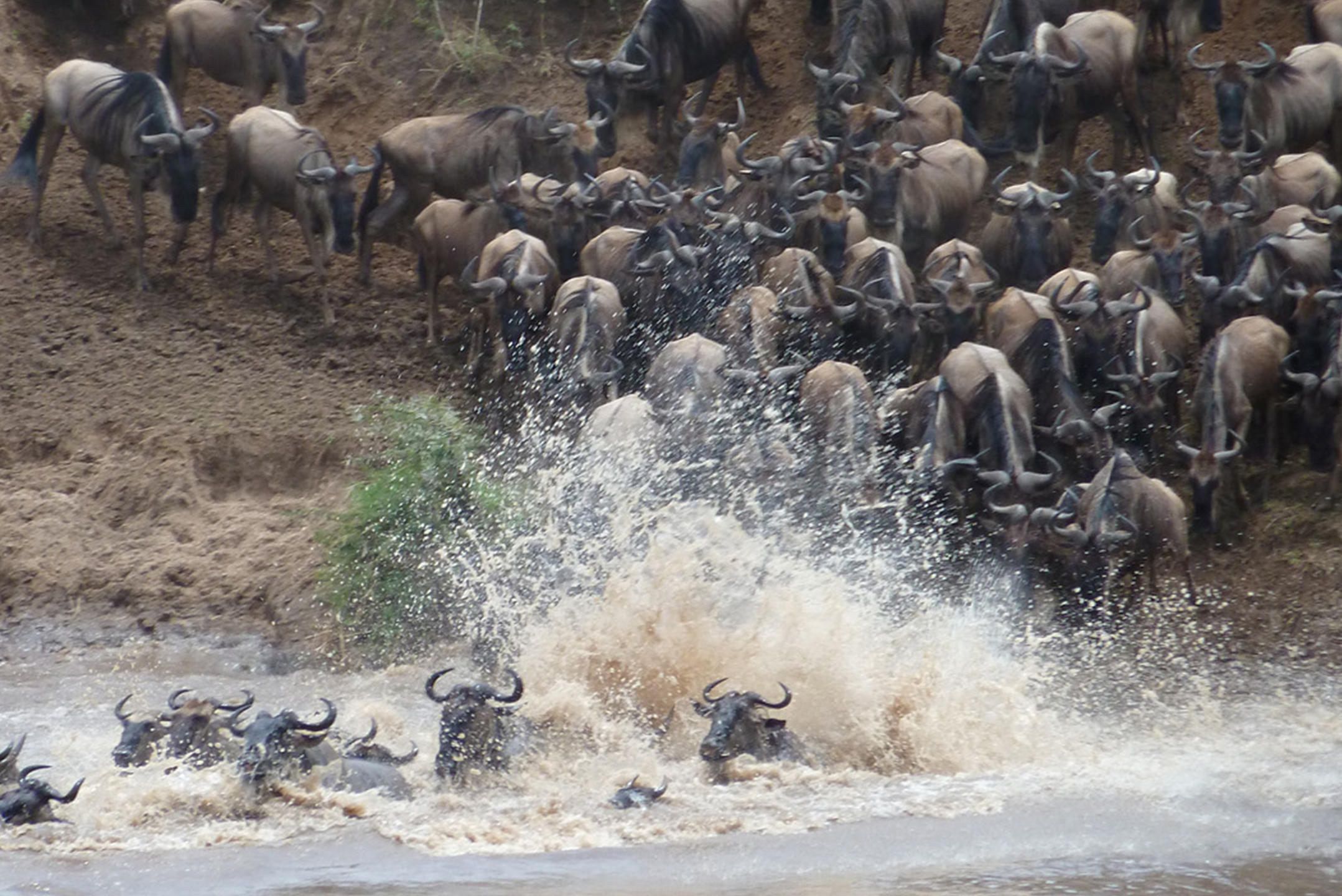 OLAKIRA MIGRATION CAMP