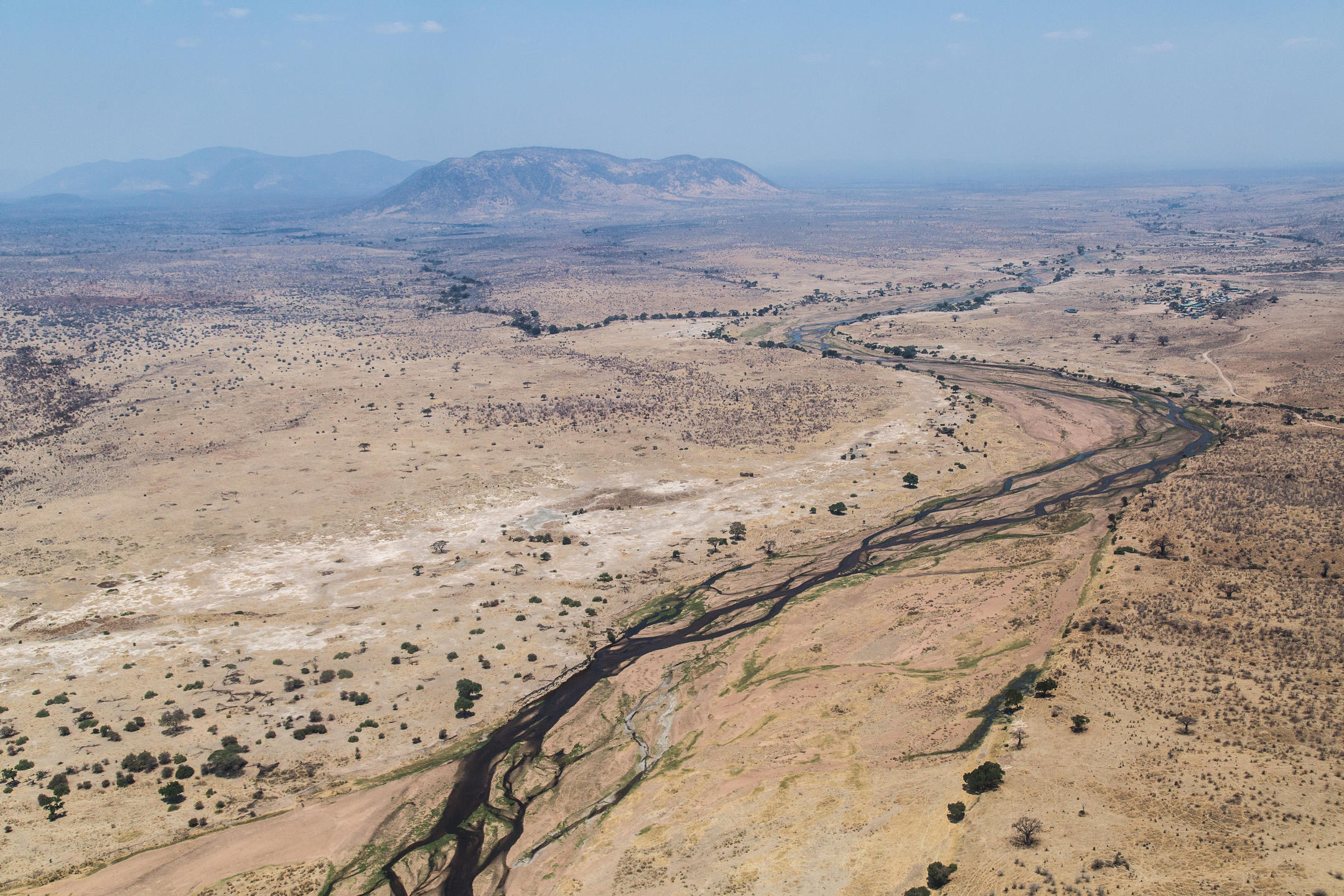 KIGELIA RUAHA