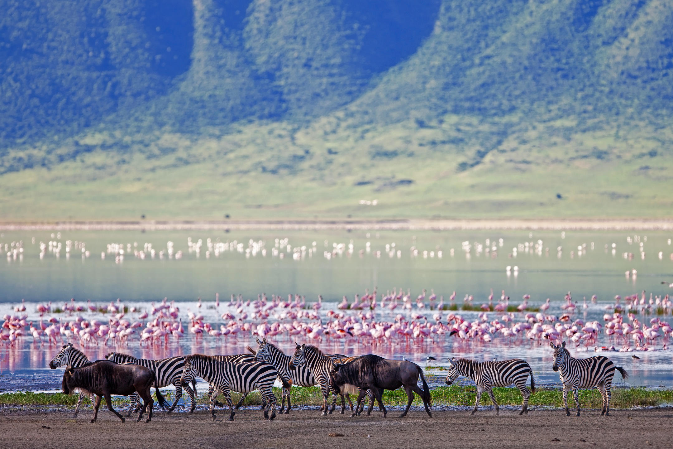 NGORONGORO CRATER CAMP