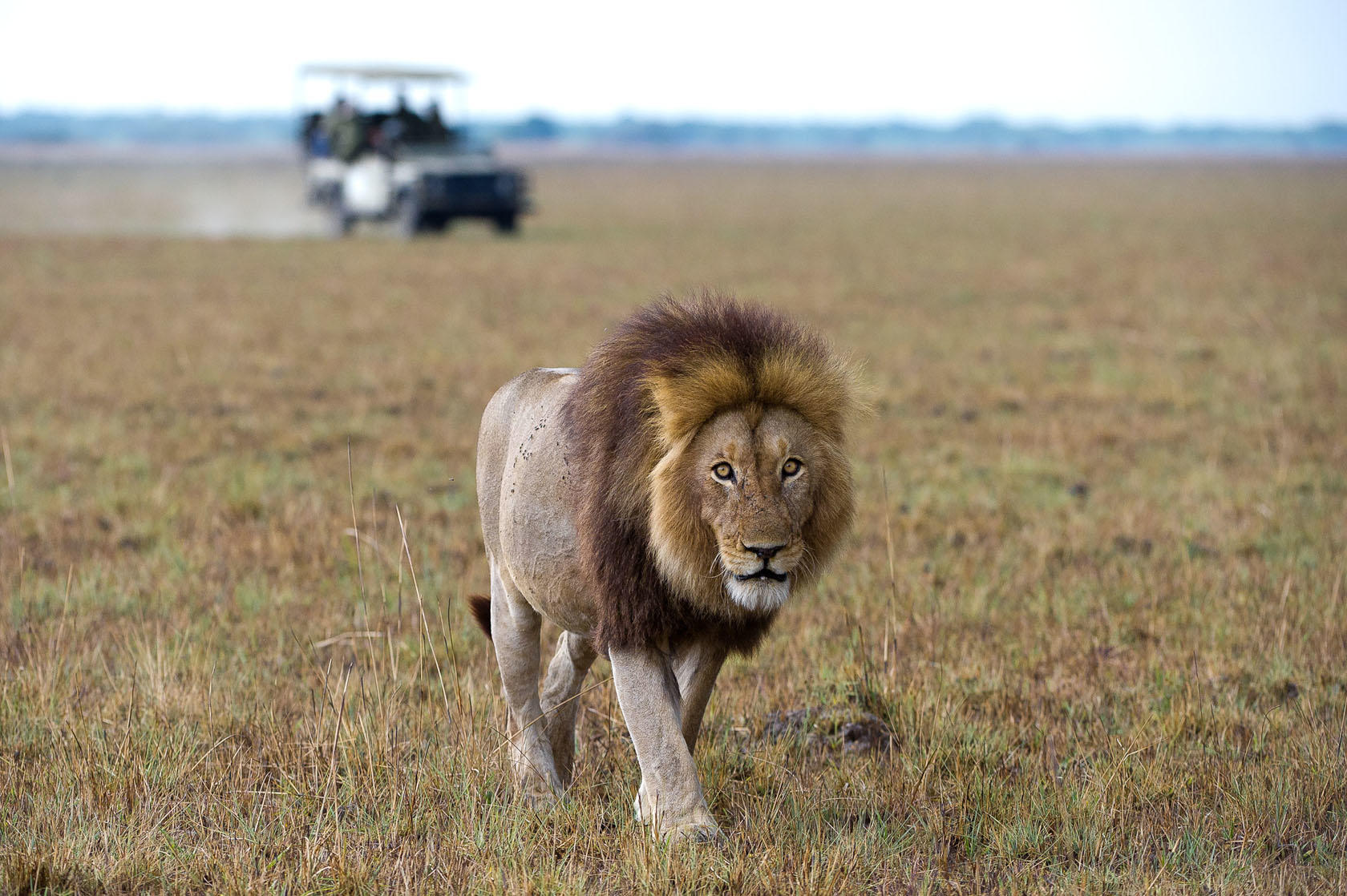 SHUMBA