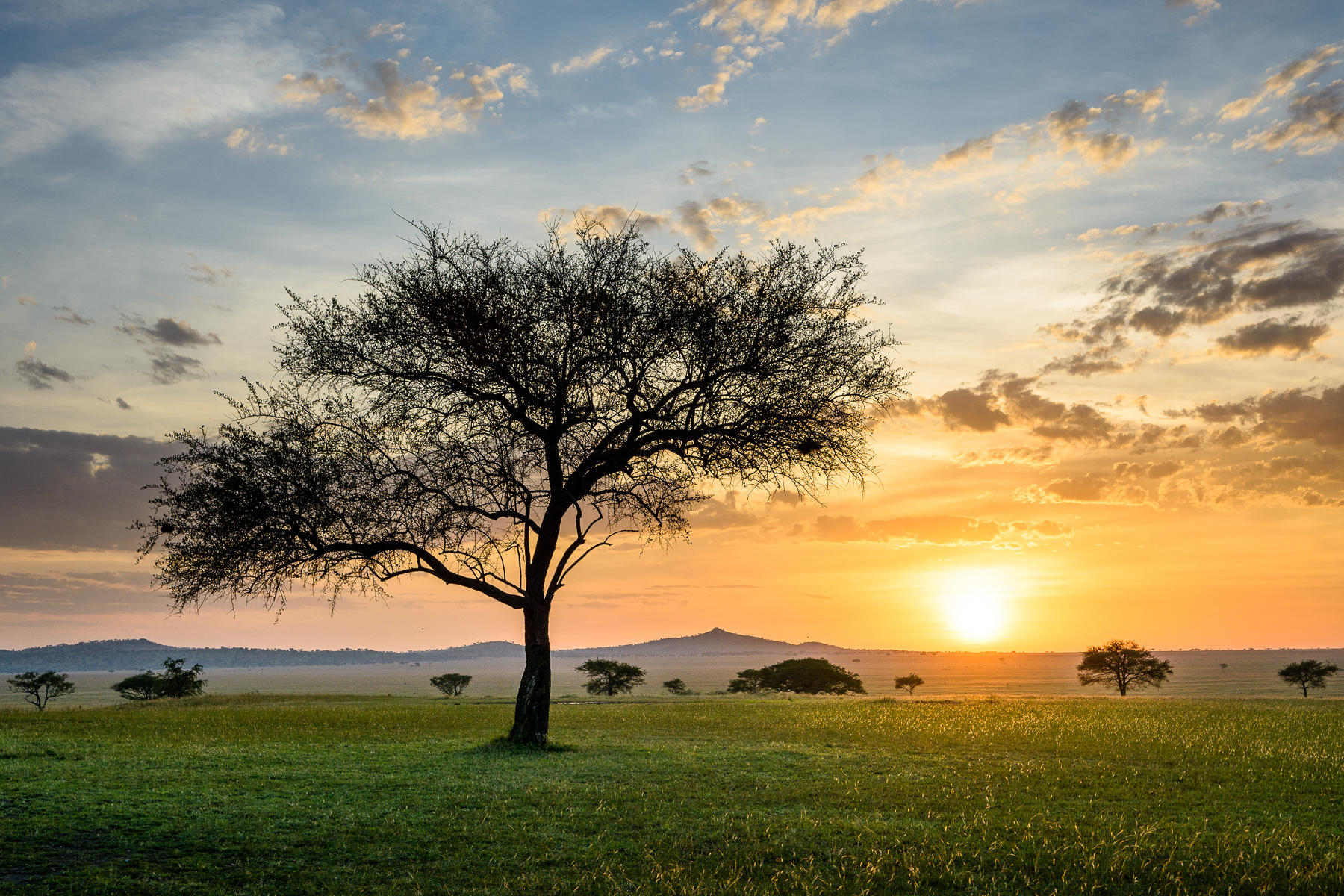 SABORA TENTED CAMP
