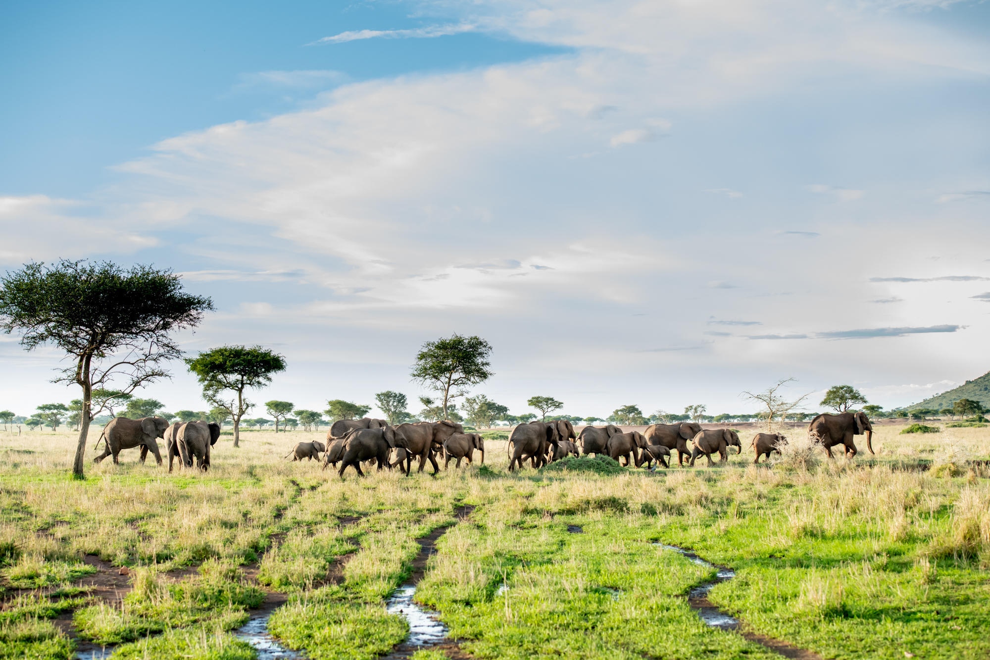 SABORA TENTED CAMP