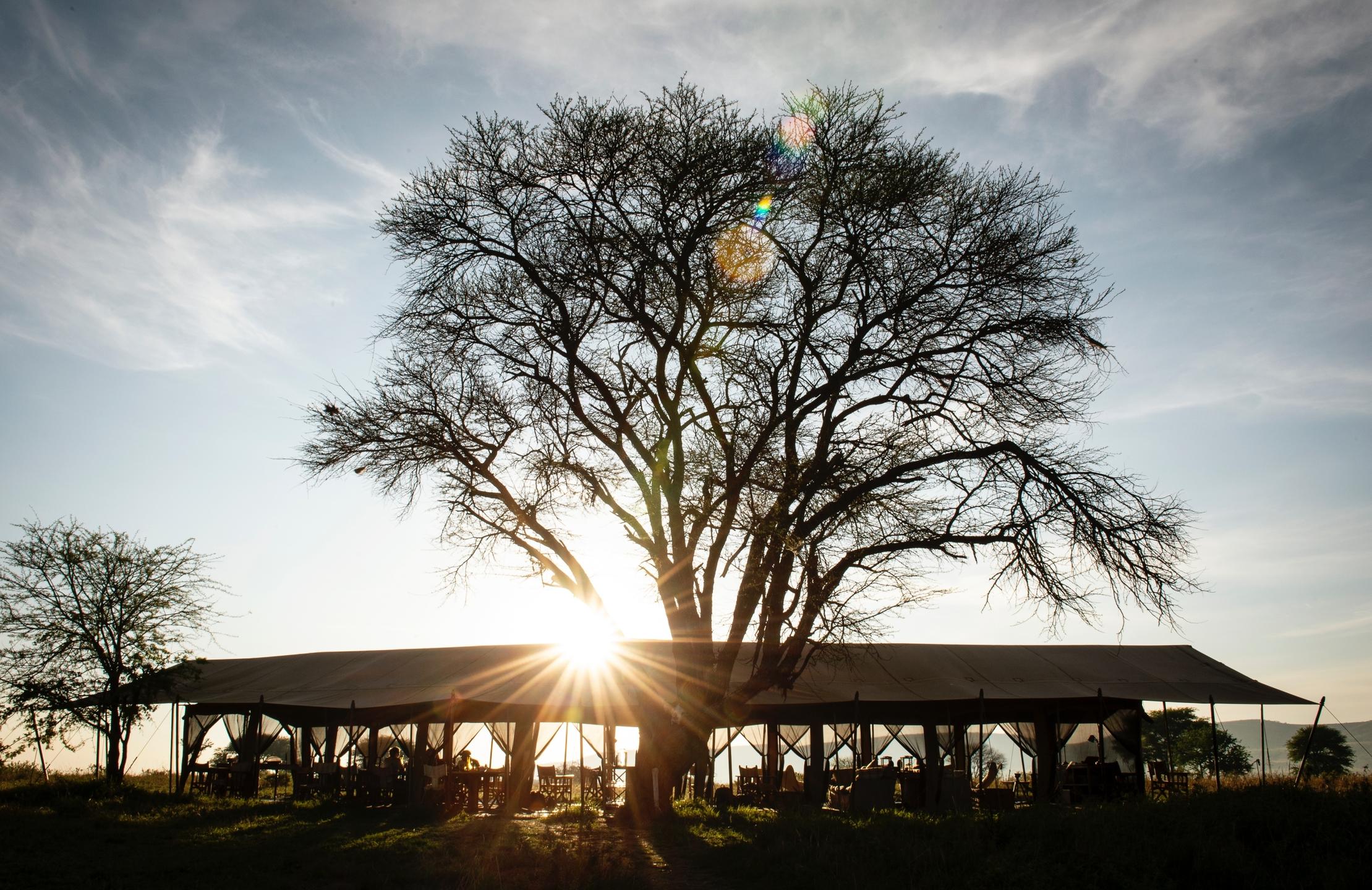 SERENGETI SAFARI CAMP
