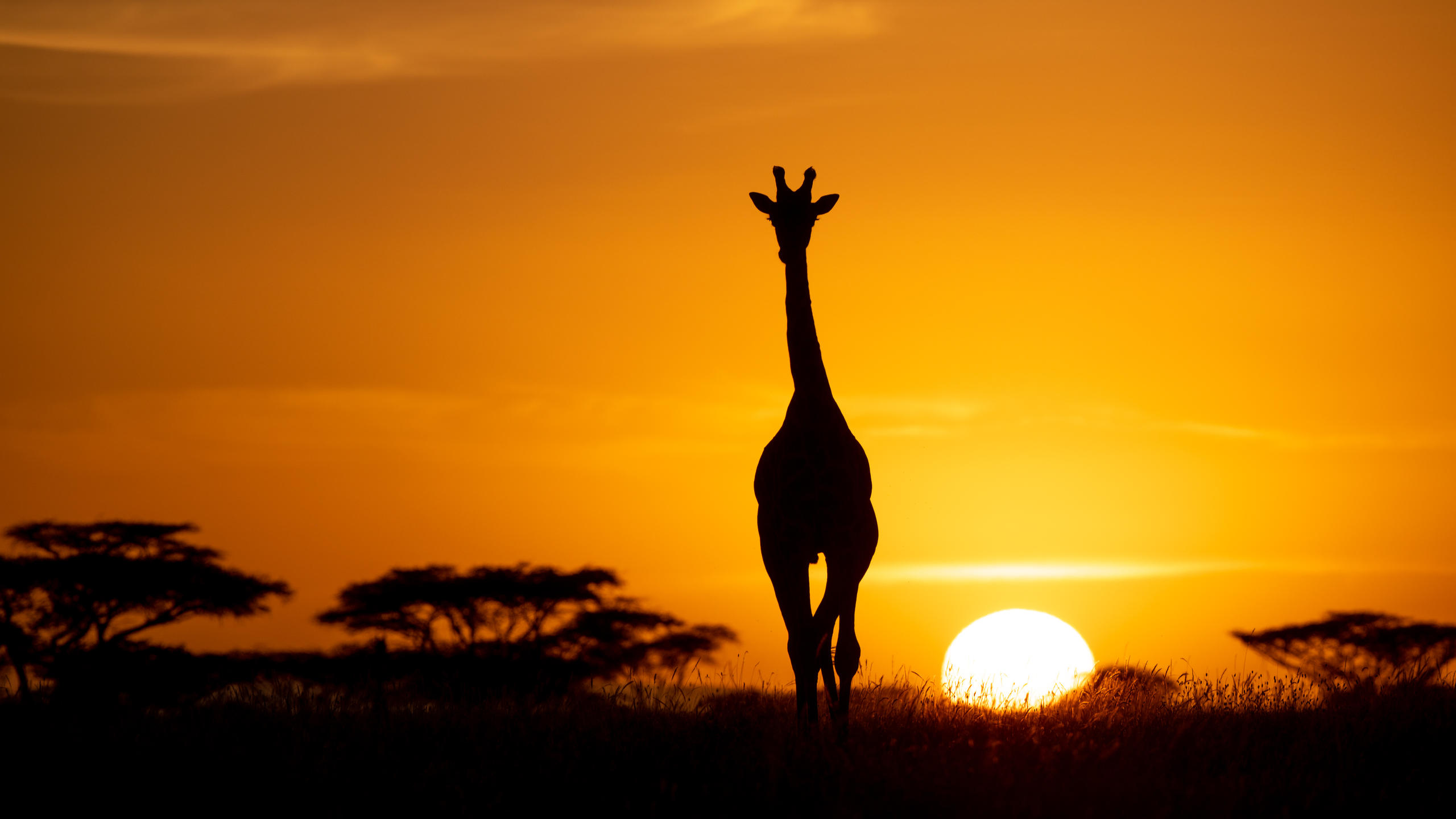 OLAKIRA MIGRATION CAMP