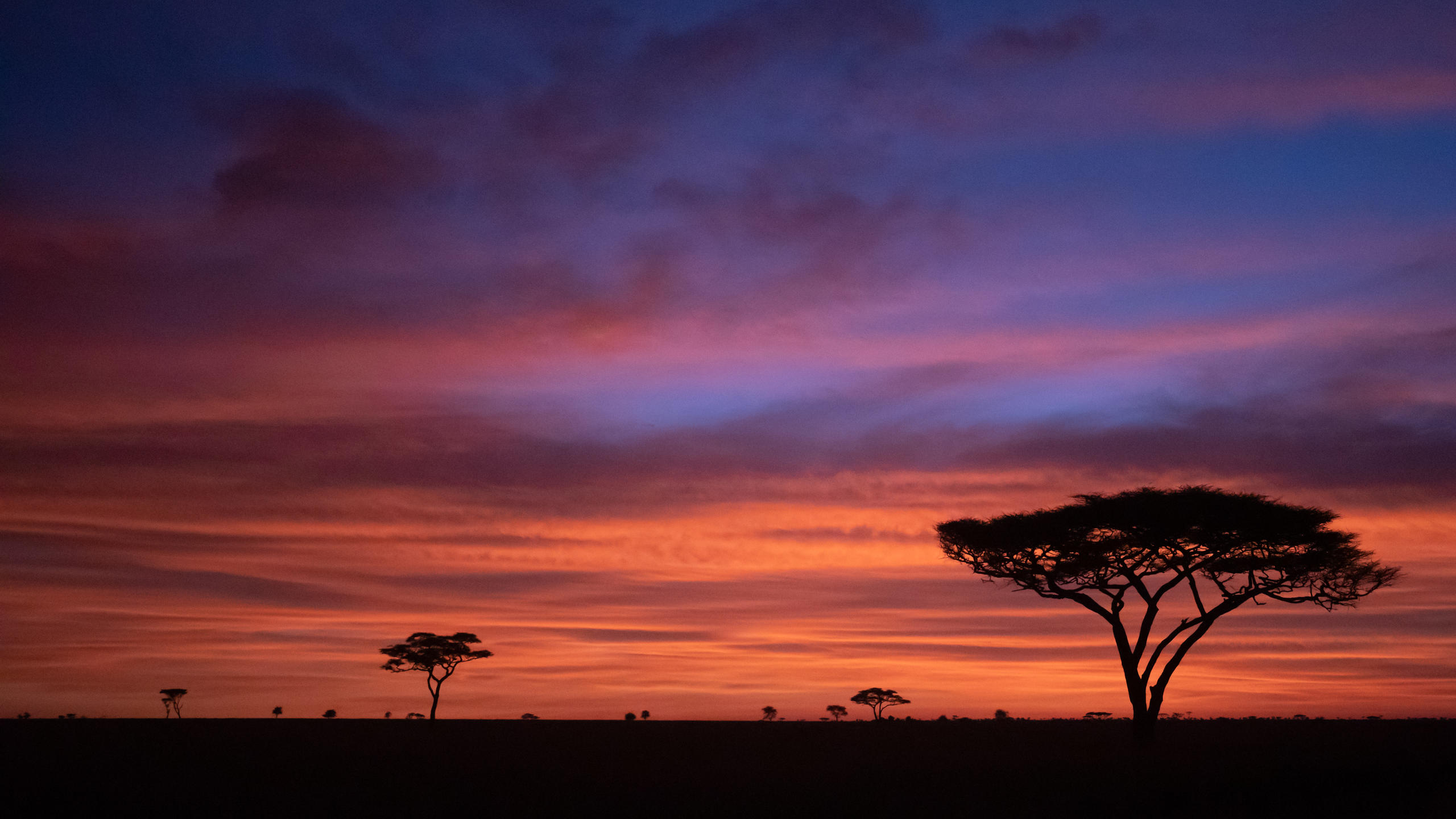 OLAKIRA MIGRATION CAMP