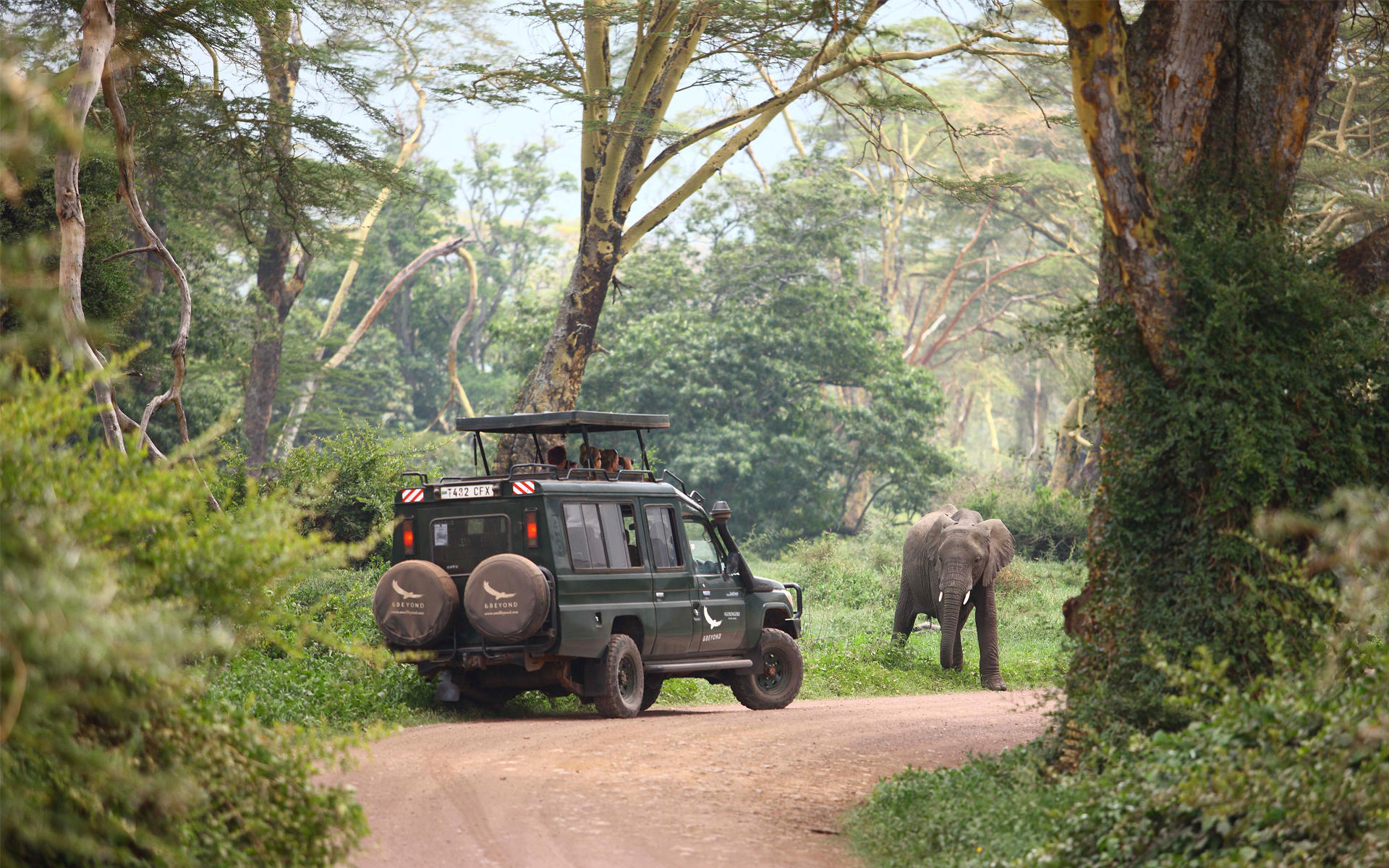 NGORONGORO CRATER LODGE