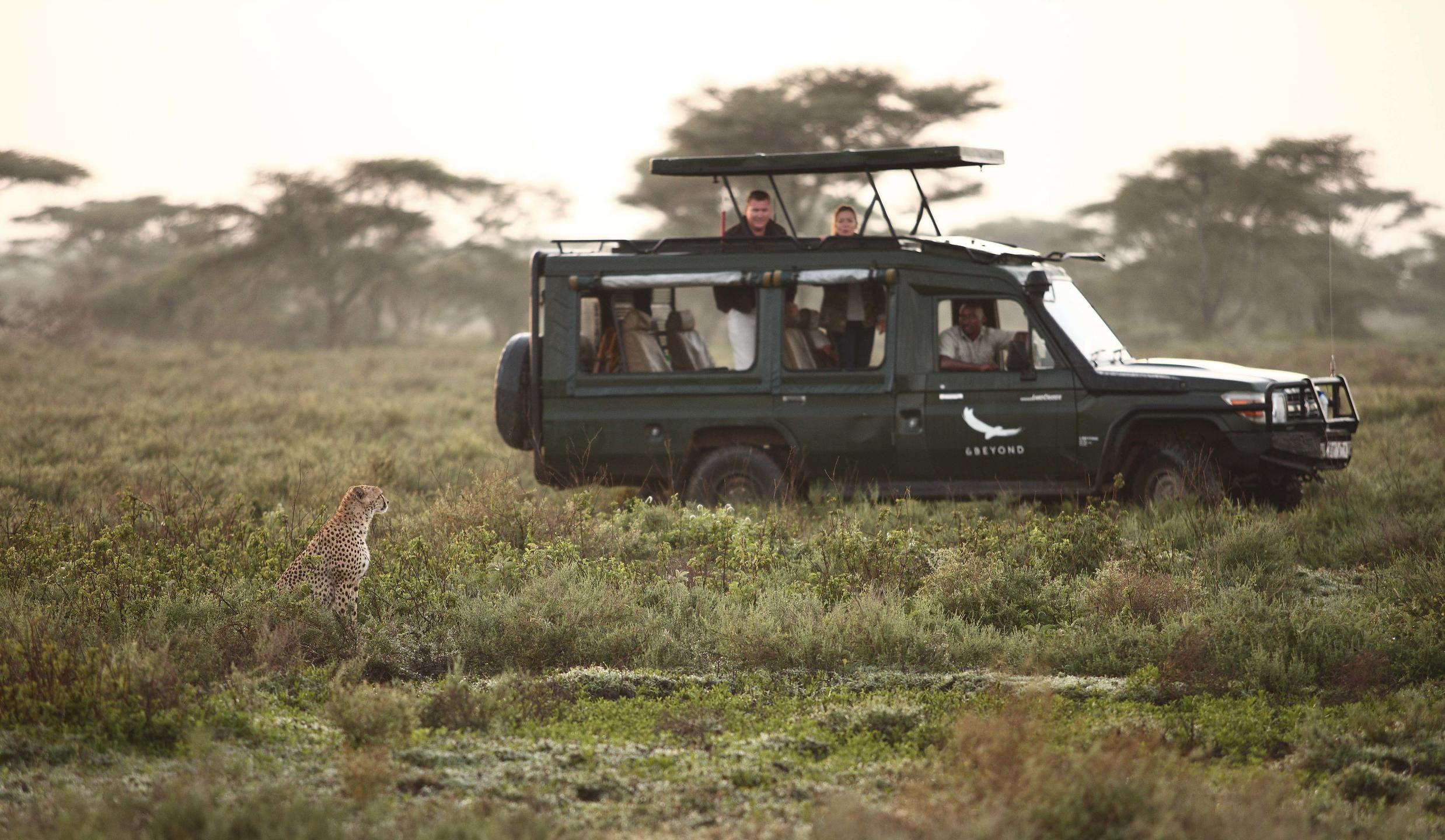 SERENGETI UNDER CANVAS