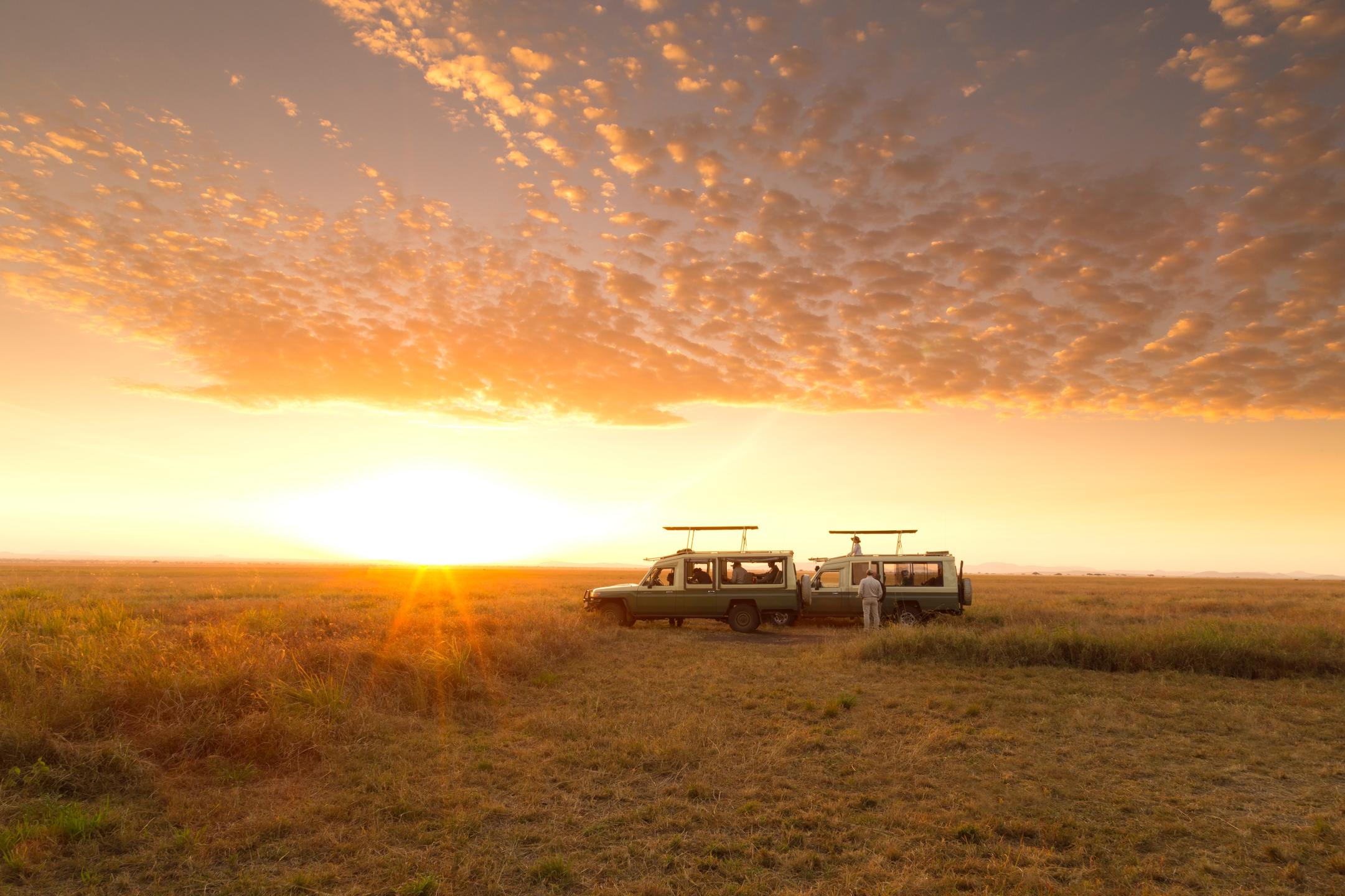 SERENGETI SAFARI CAMP