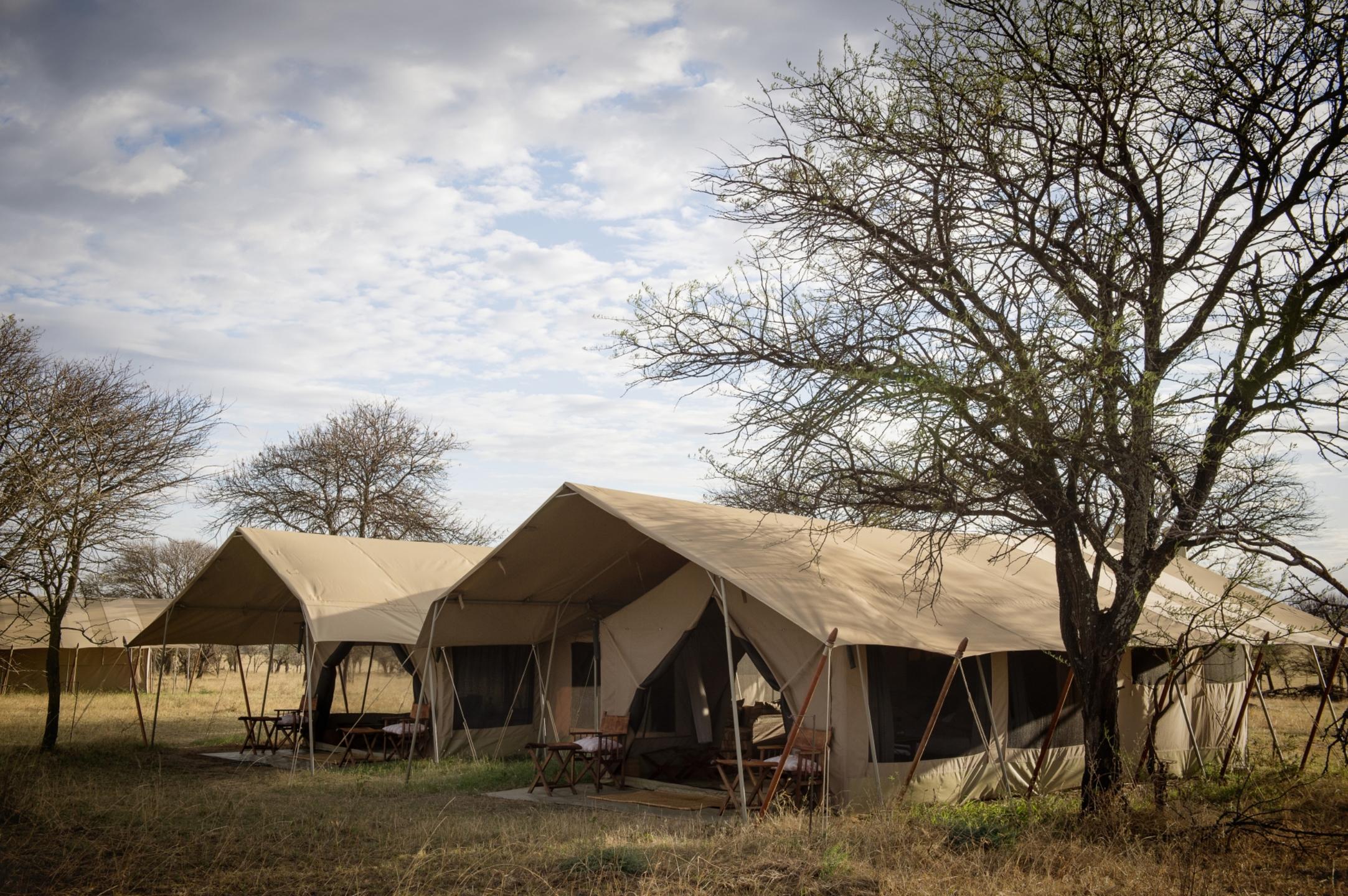 SERENGETI SAFARI CAMP