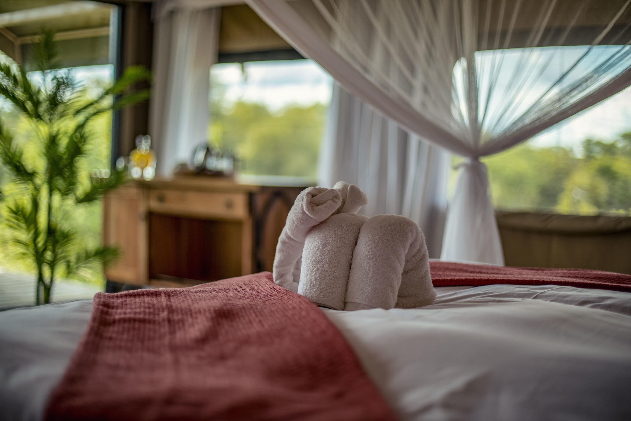 THE WALLOW LODGE