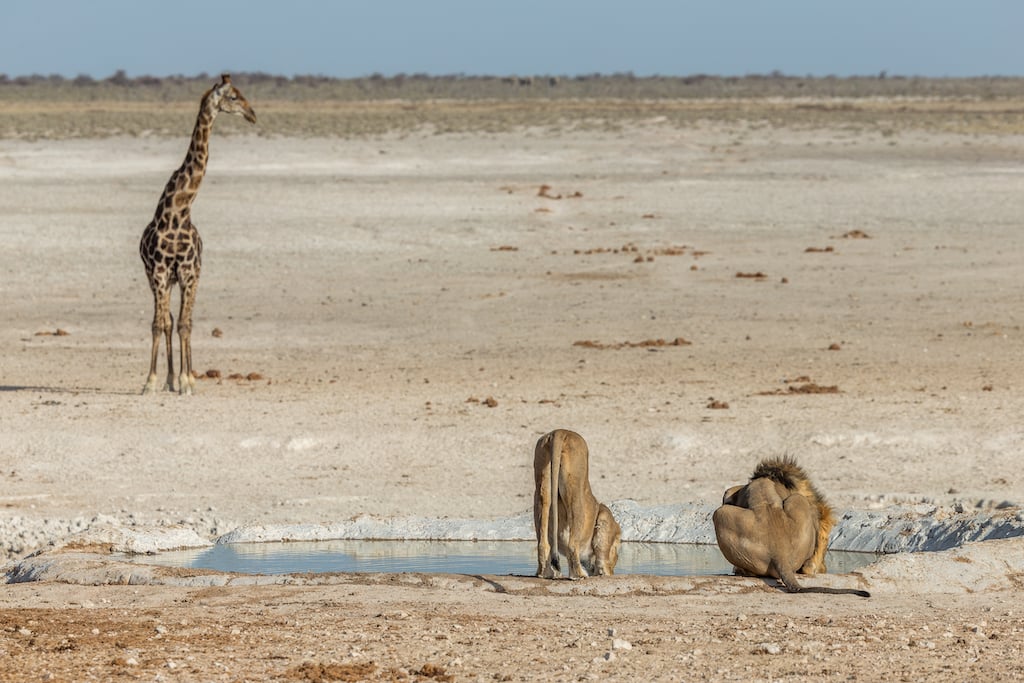 Namibia