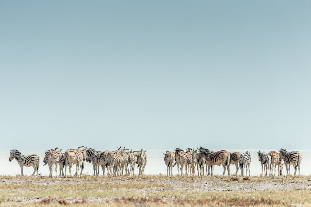 Etosha