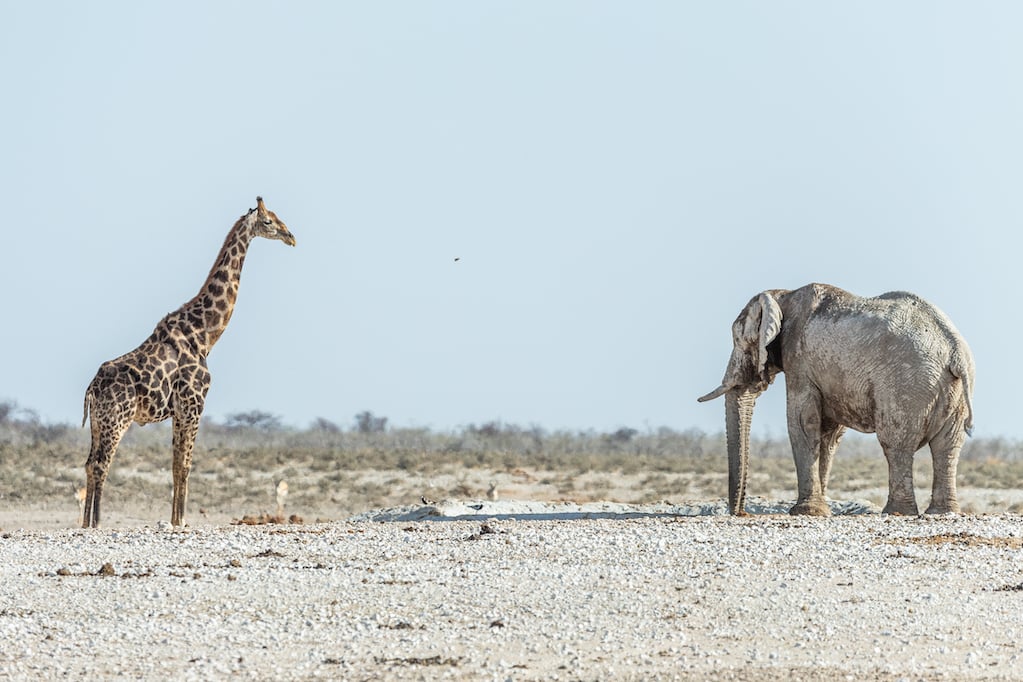 Namibia