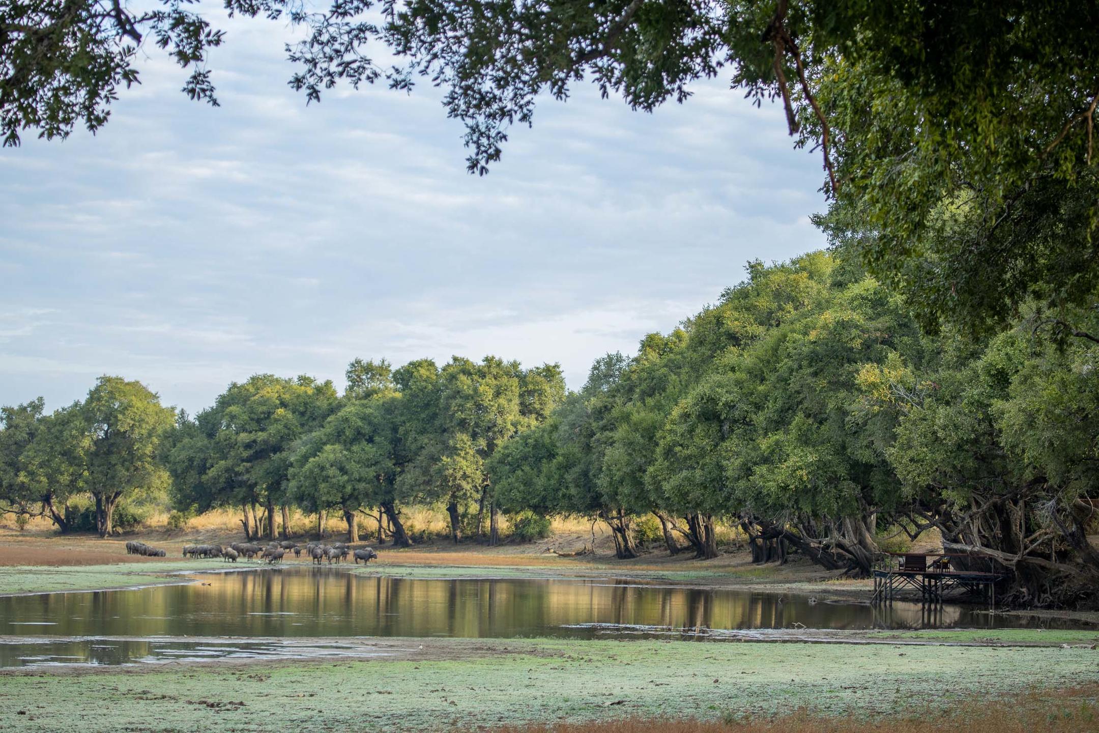 BIG LAGOON
