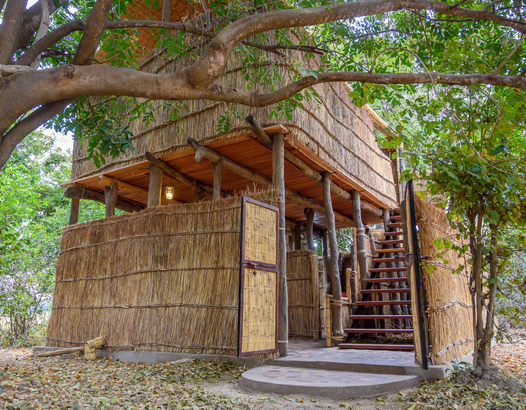 CHIKOKO TREE CAMP