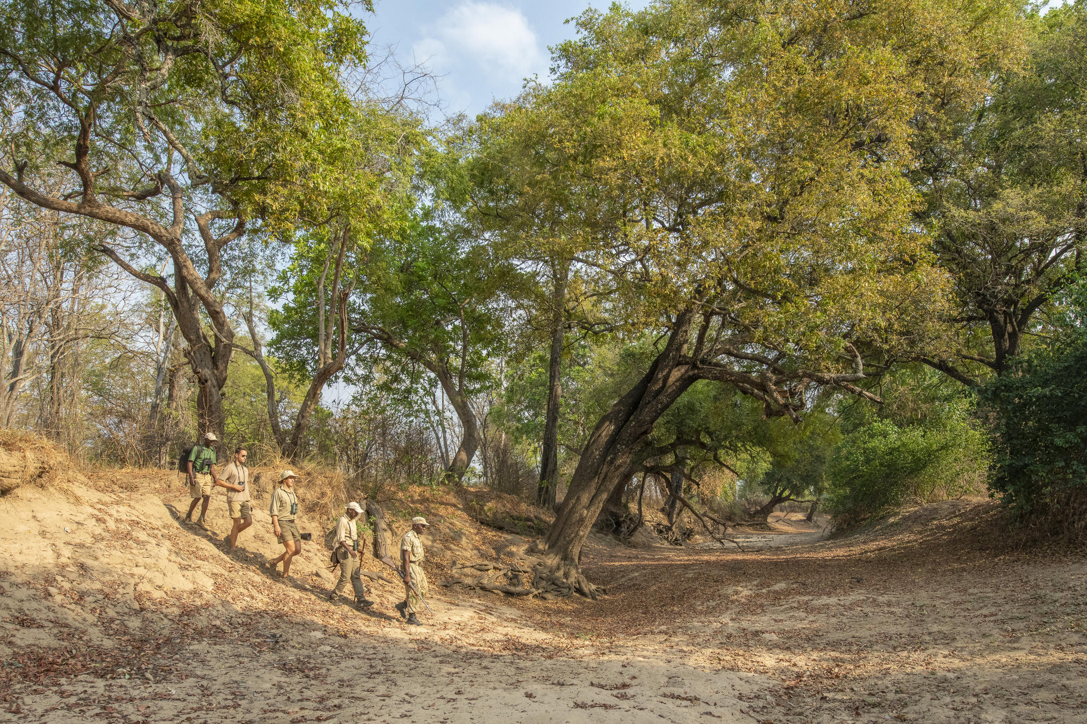 CHIKOKO TREE CAMP