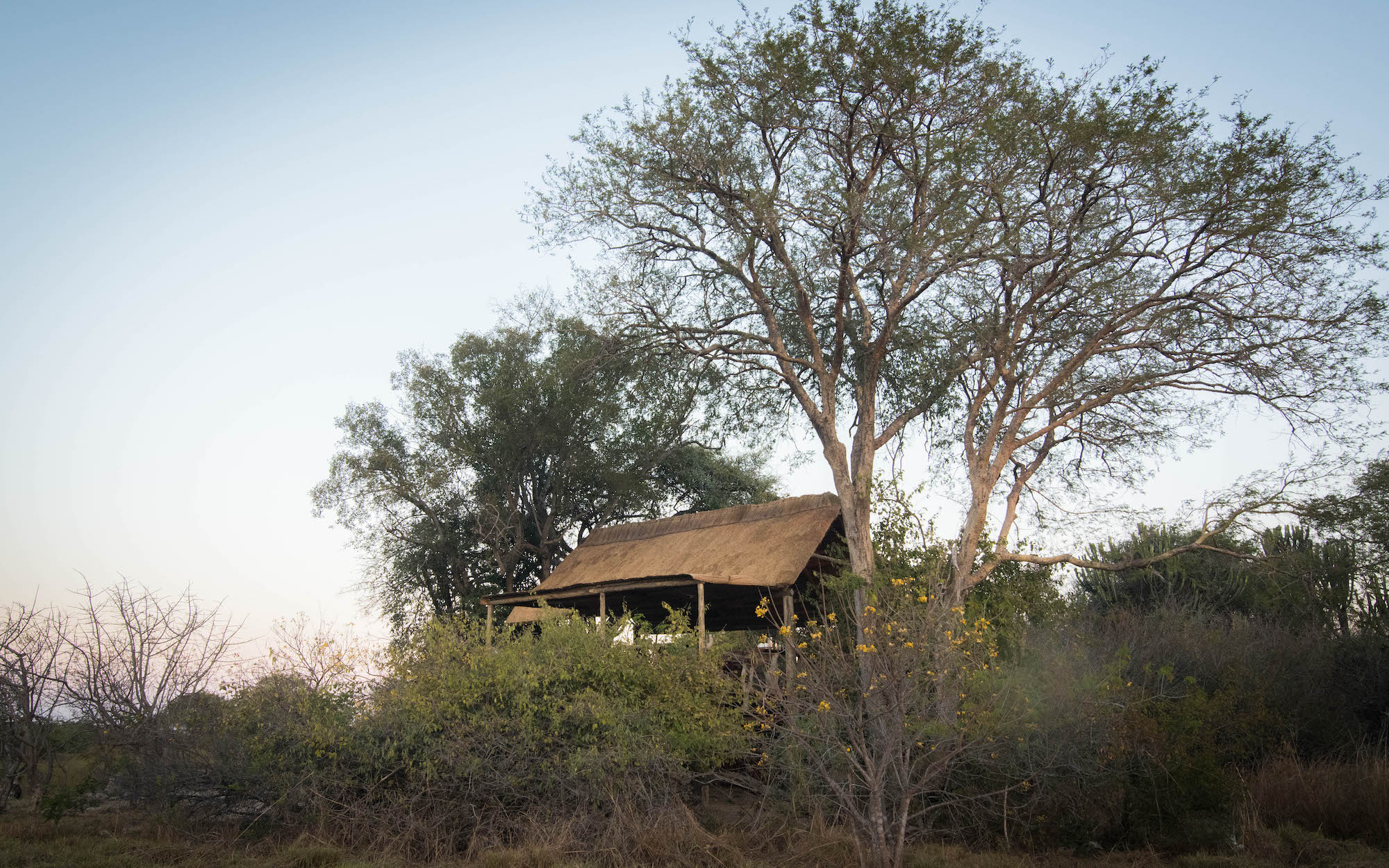 NTEMWA BUSANGA CAMP