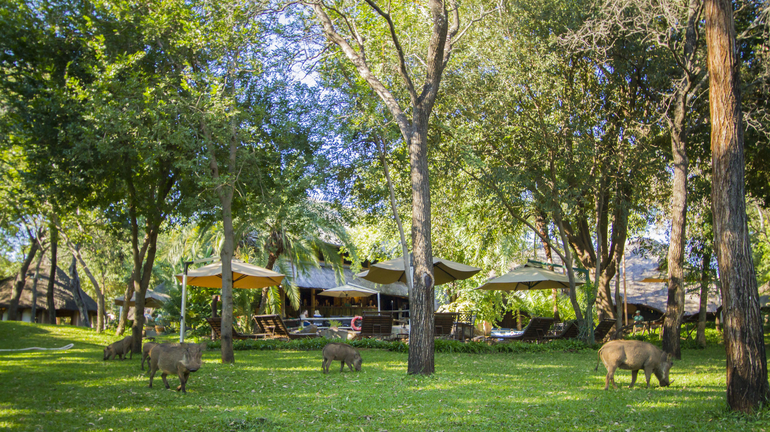 LOKUTHULA LODGES