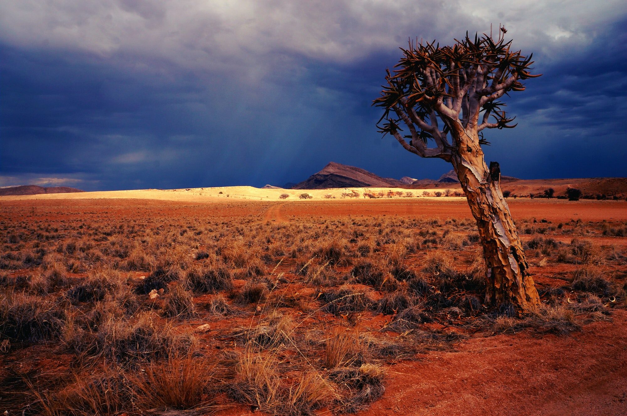 Namibia