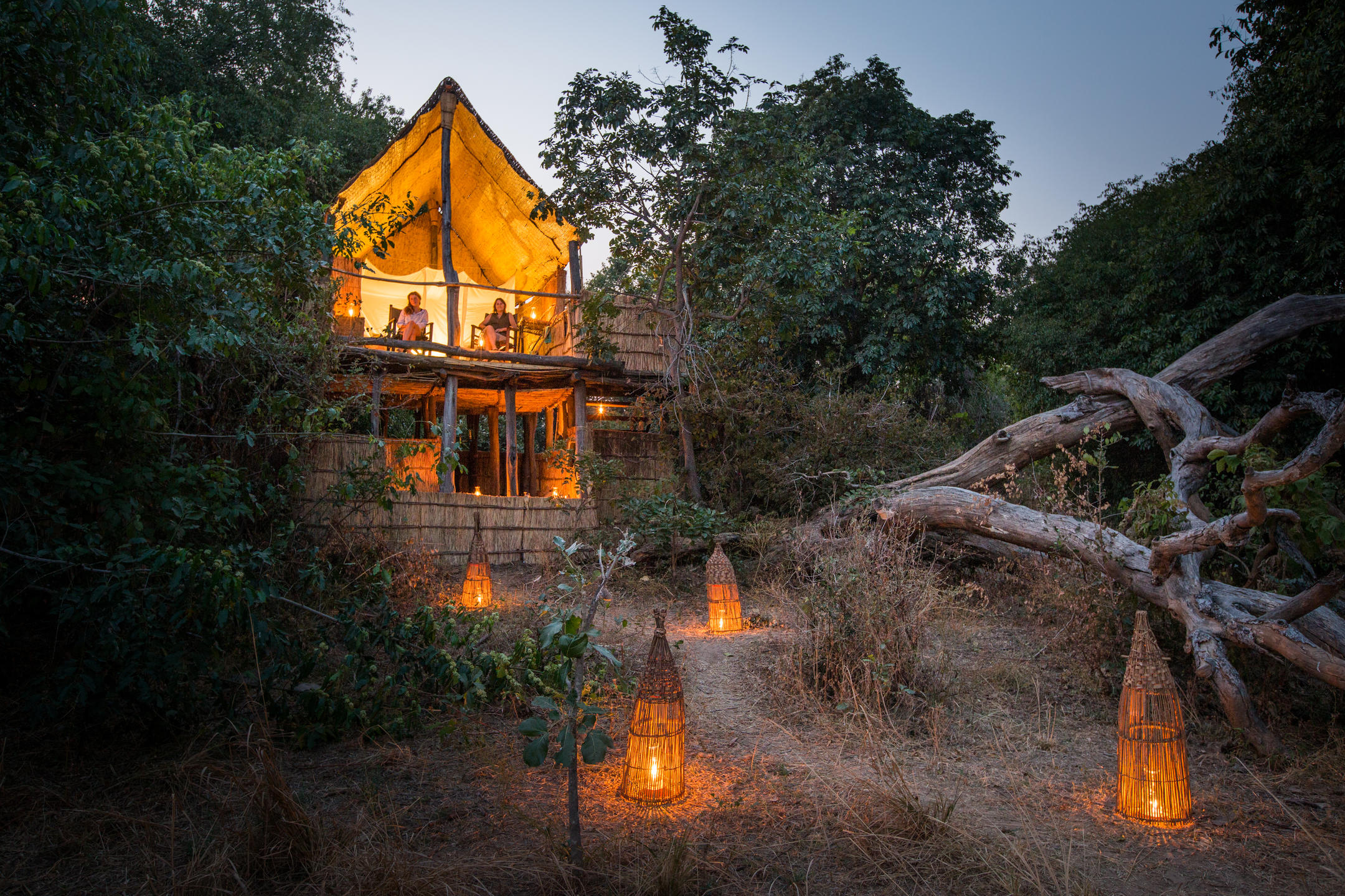 Chikoko Tree Camp