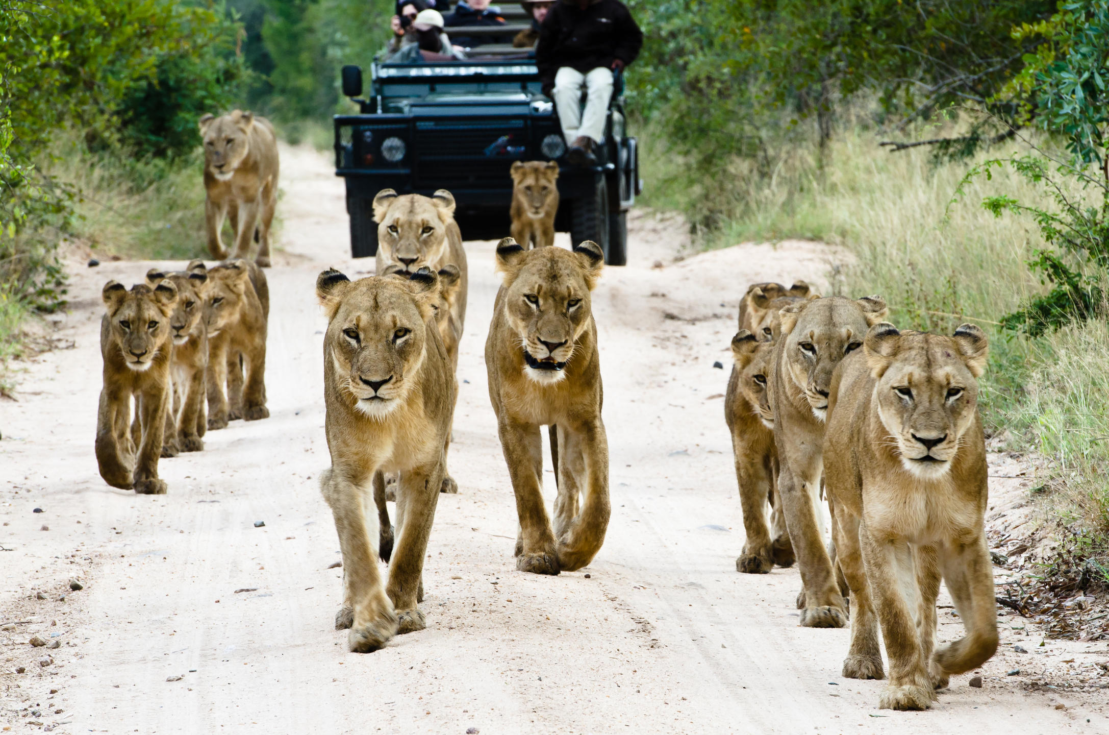 SELATI CAMP