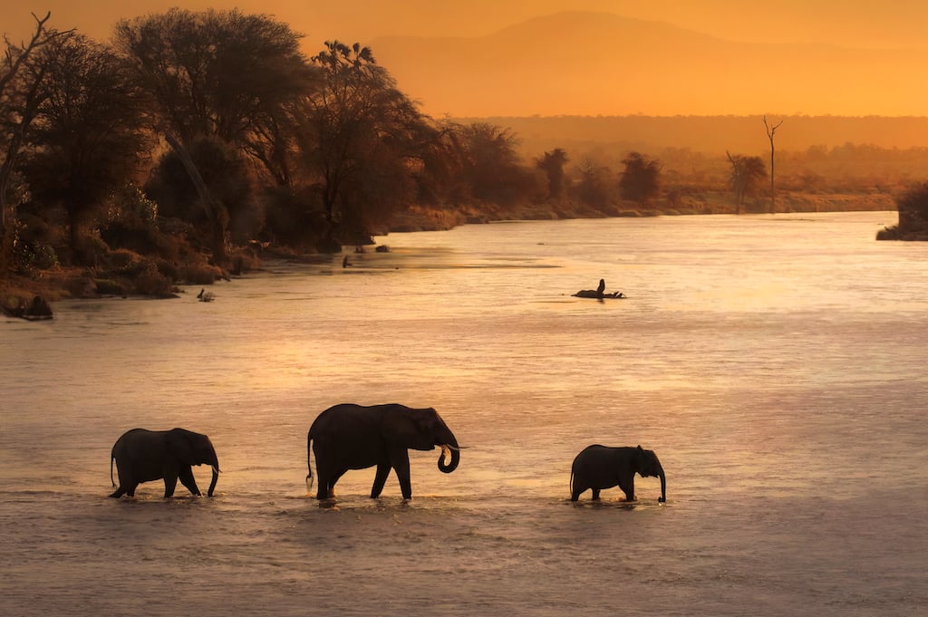 The Zambezi River
