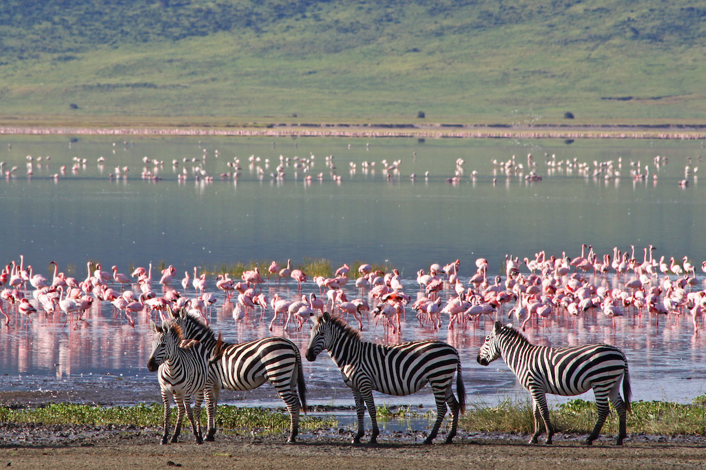 Ngorongoro Crater