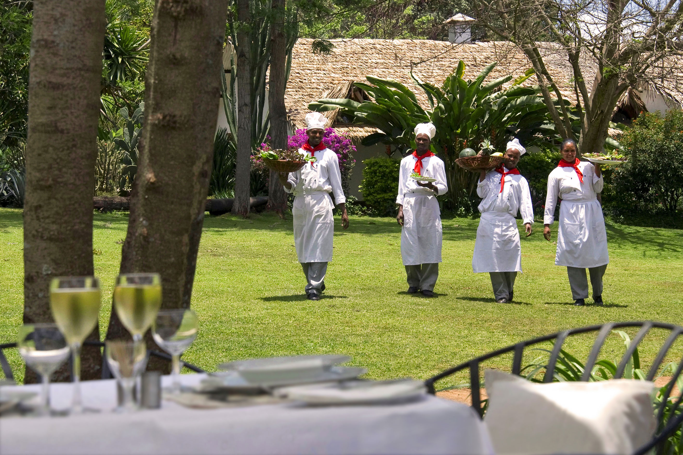 THE PLANTATION LODGE