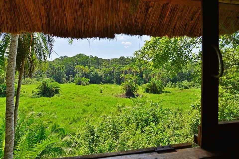 PRIMATE LODGE KIBALE