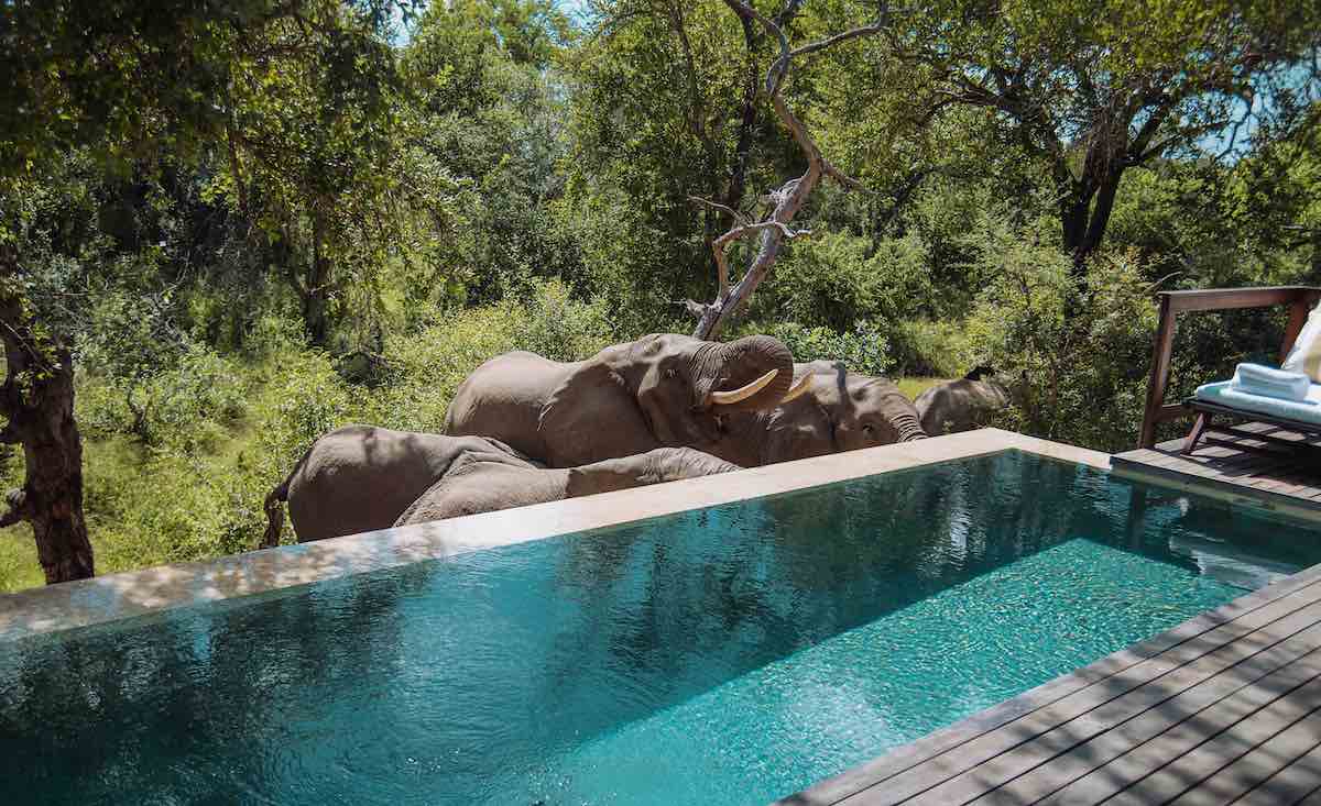 MALEWANE LODGE