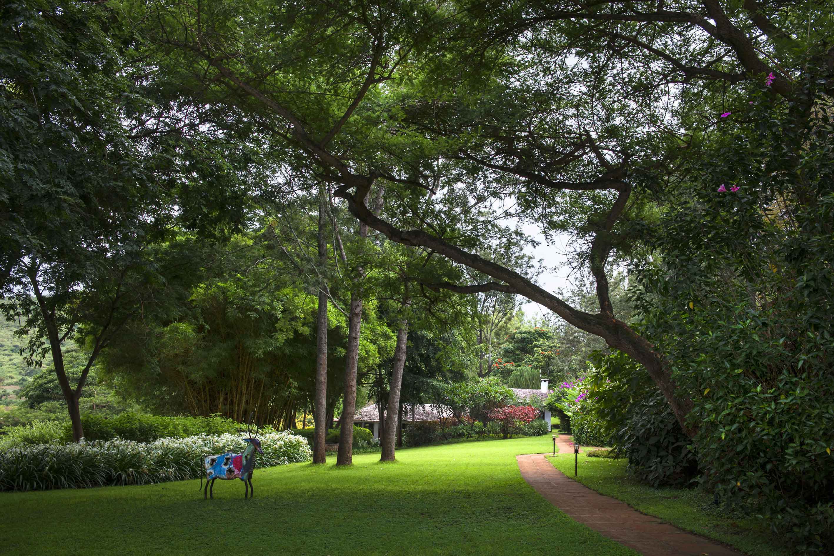 THE PLANTATION LODGE