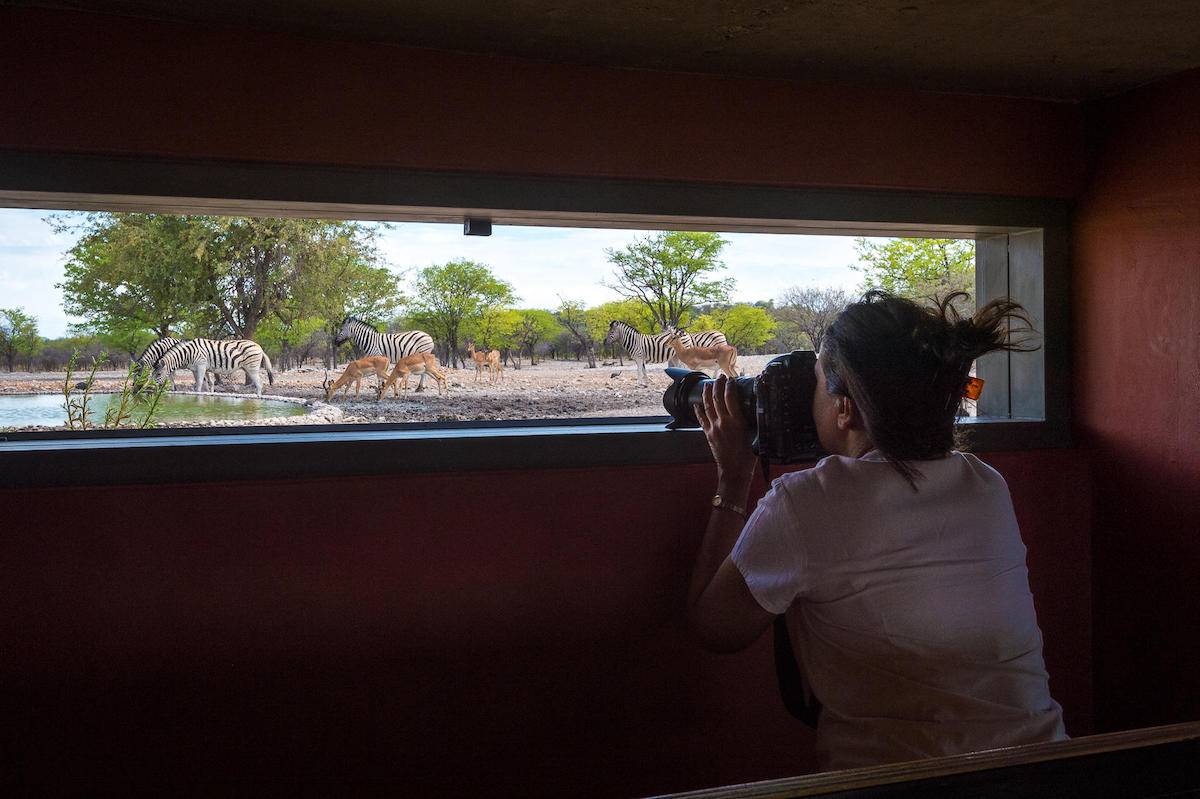 ANDERSSONS AT ONGAVA