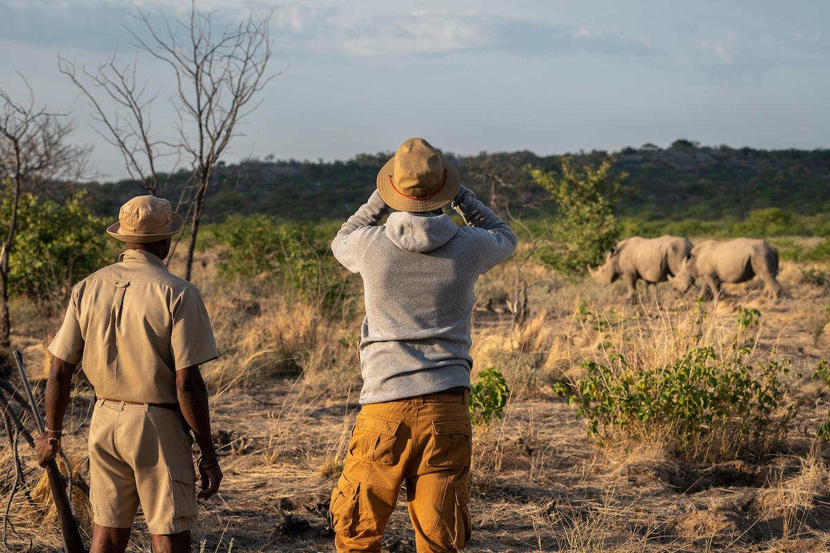 ANDERSSONS AT ONGAVA