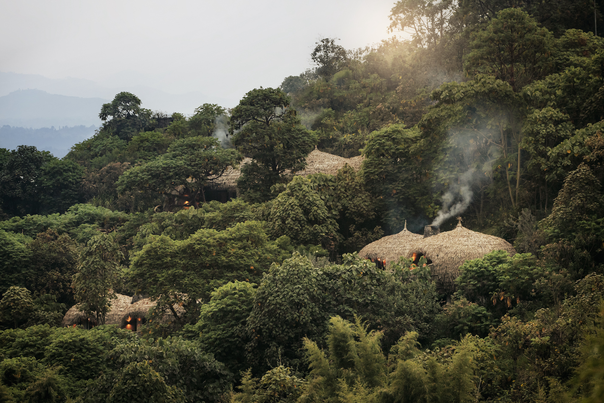 Bisate Lodge