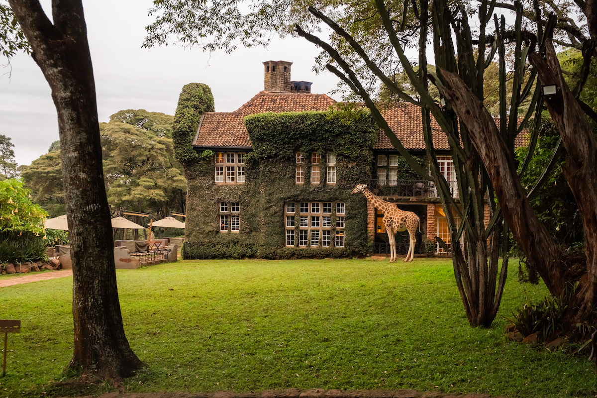 GIRAFFE MANOR