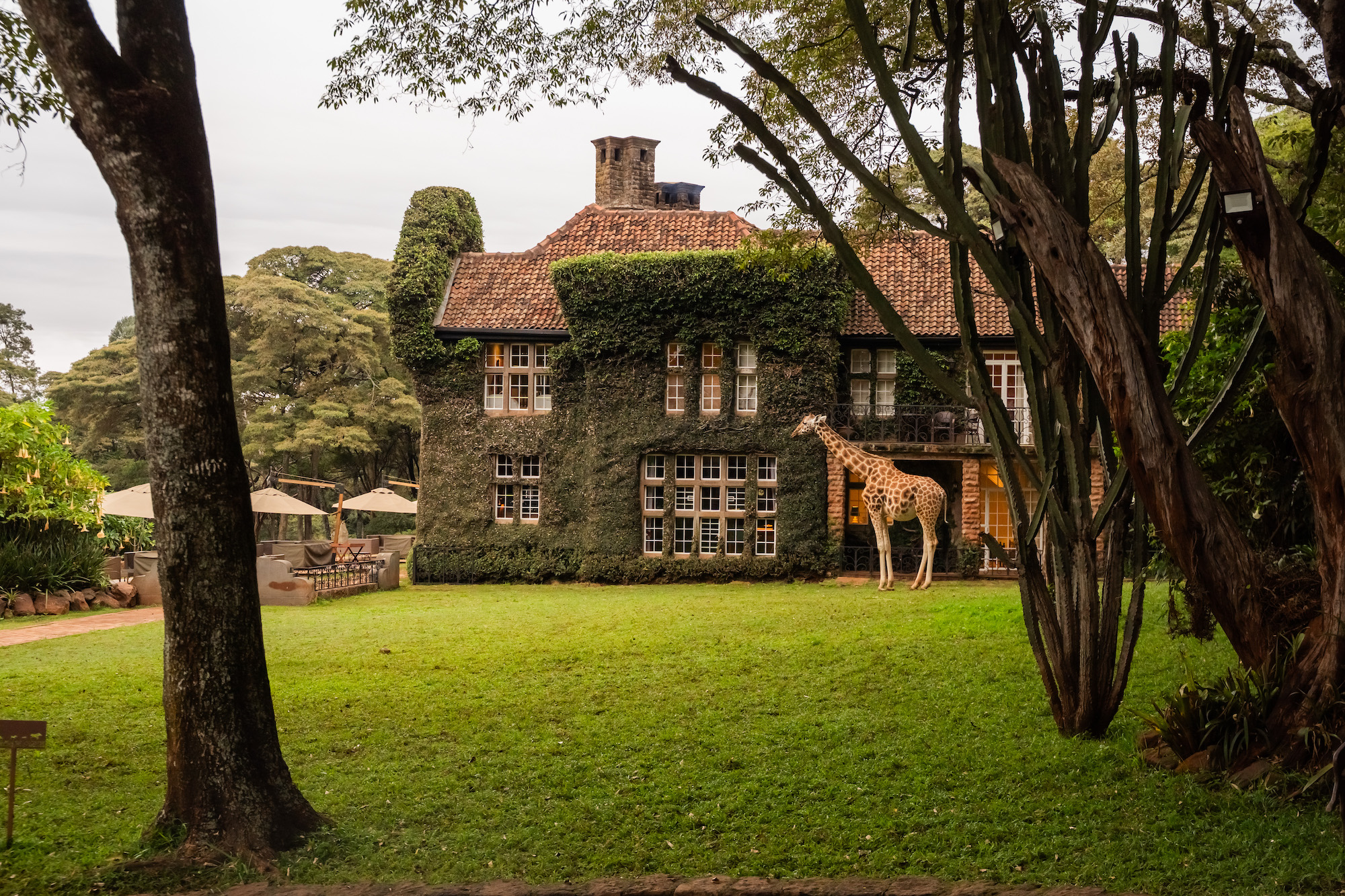 Giraffe Manor