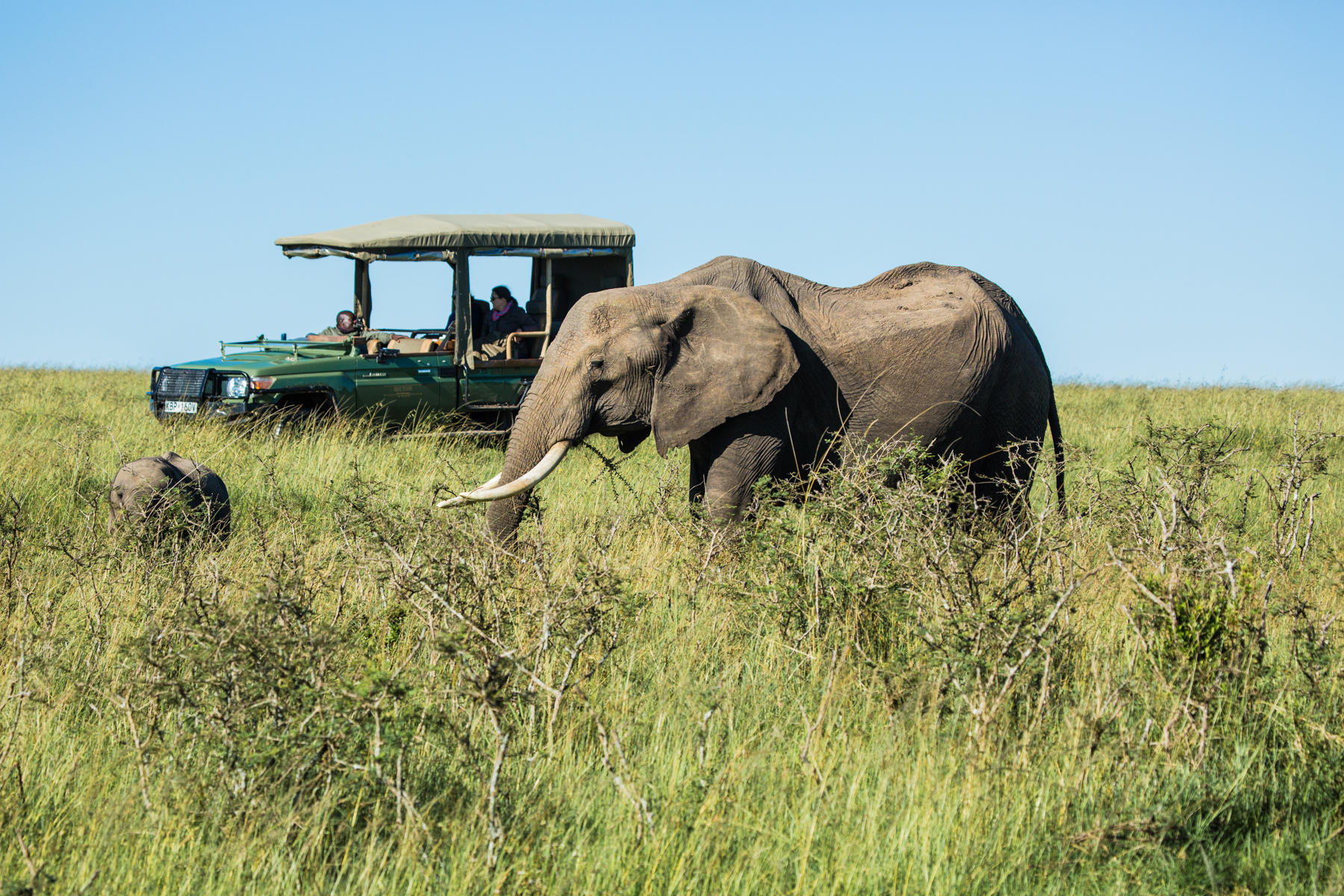 MARA PLAINS CAMP