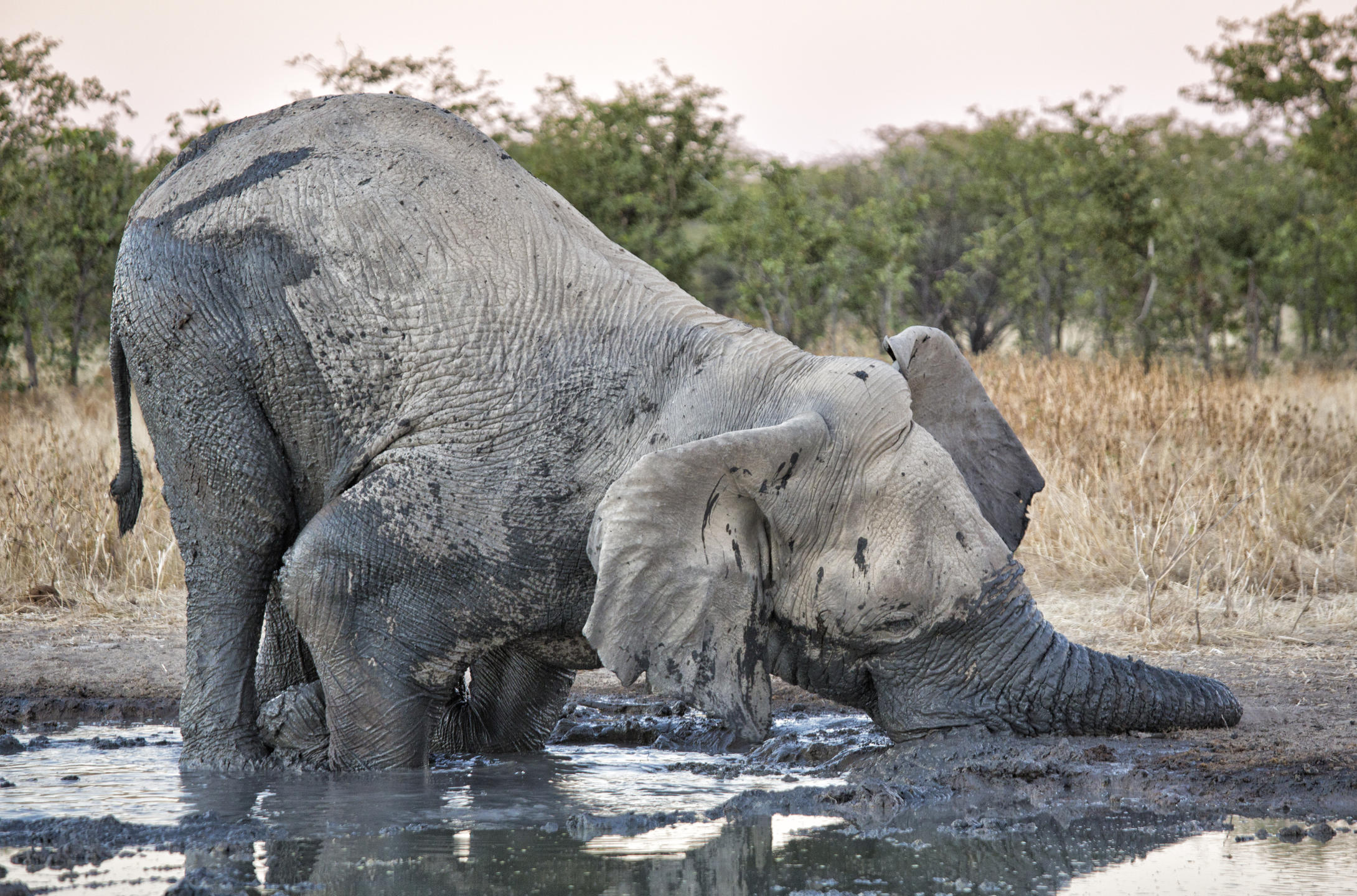 ETOSHA MOUNTAIN LODGE