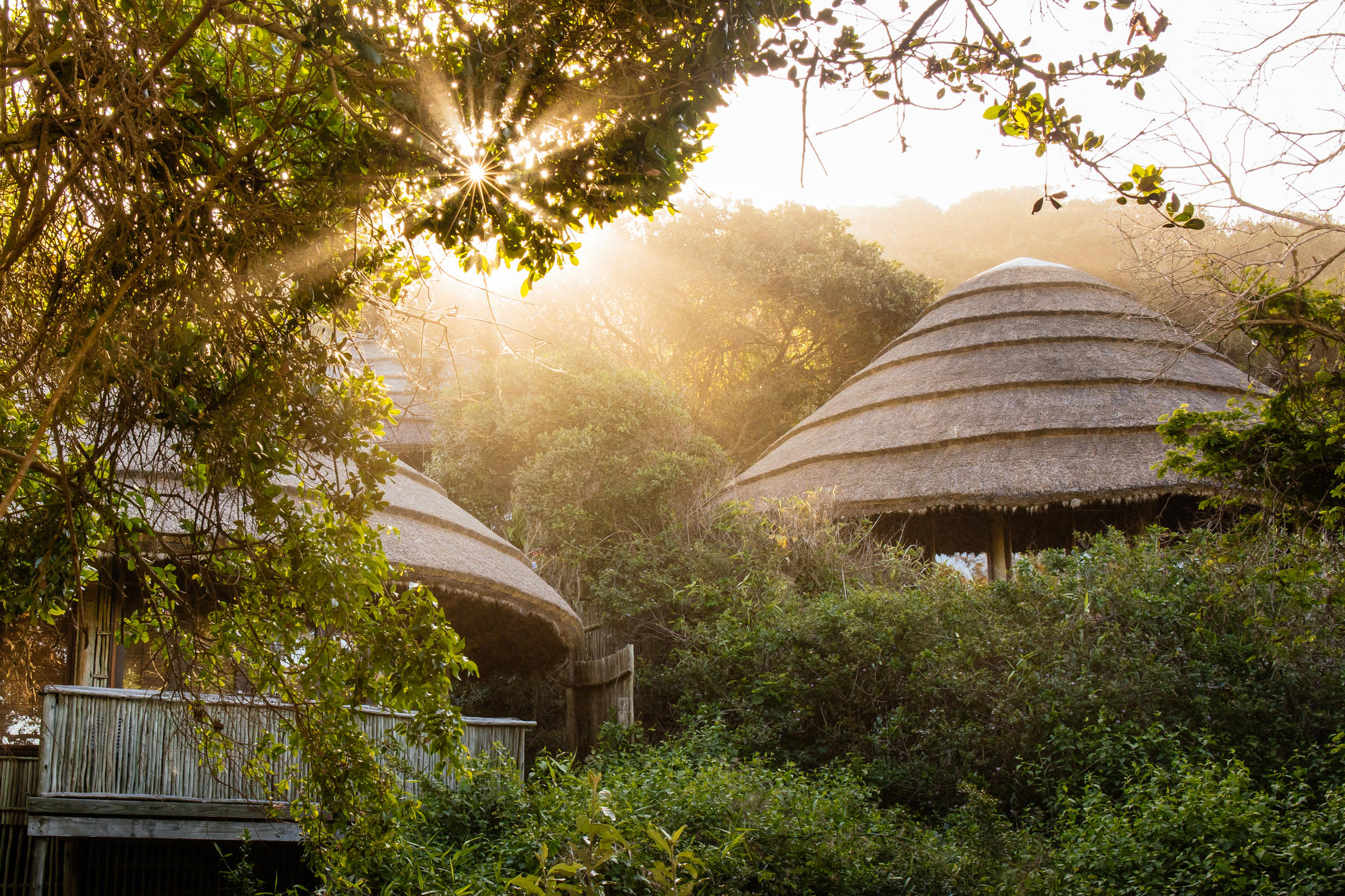 THONGA BEACH LODGE