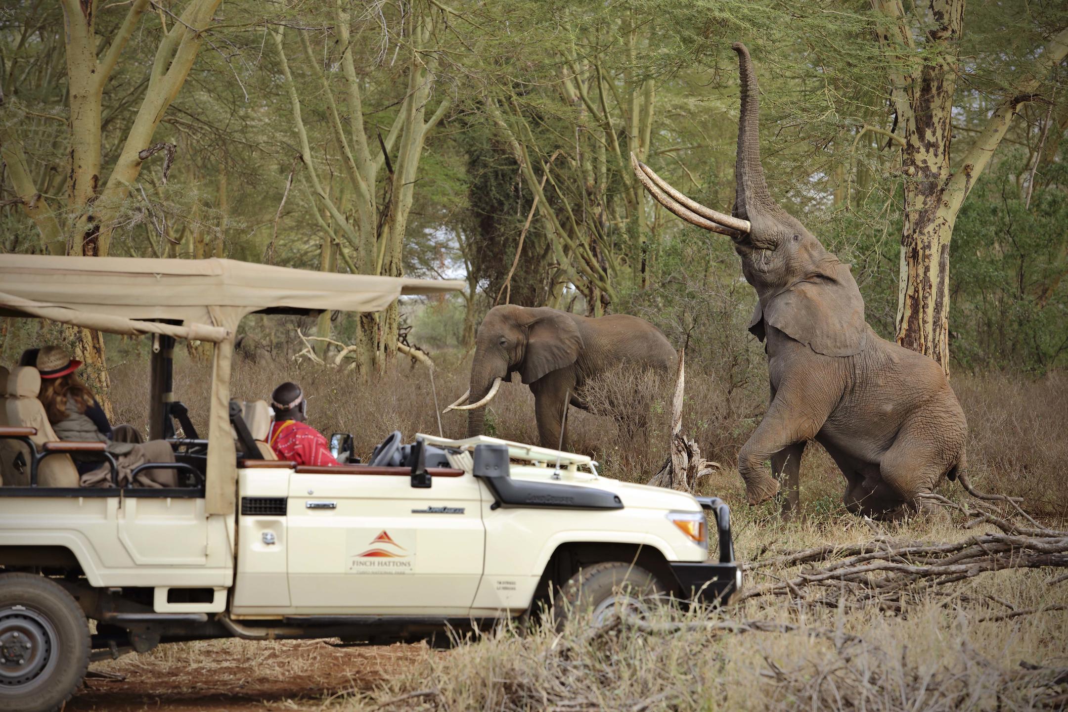 FINCH HATTONS LUXURY TENTED CAMP