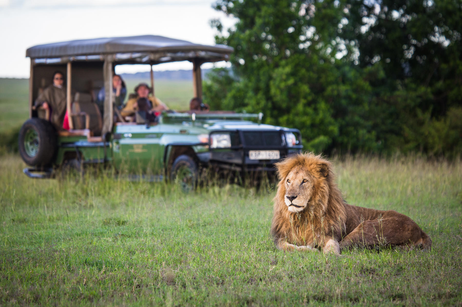 MARA PLAINS CAMP
