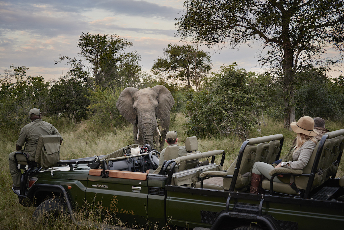 MALEWANE LODGE