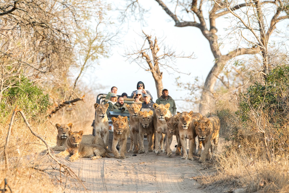 MALEWANE LODGE